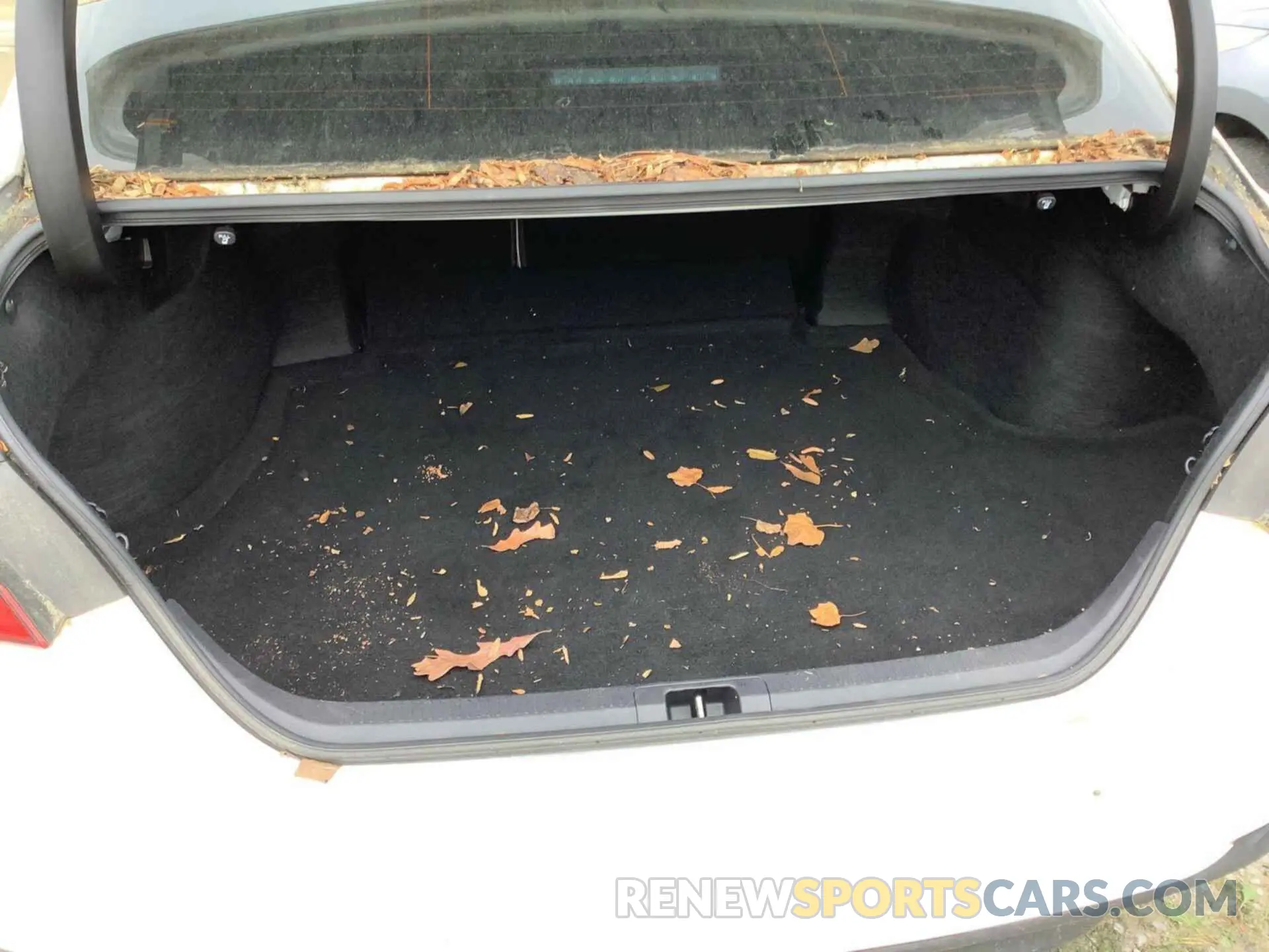 2 Photograph of a damaged car 4T1B31HK8KU513998 TOYOTA CAMRY 2019
