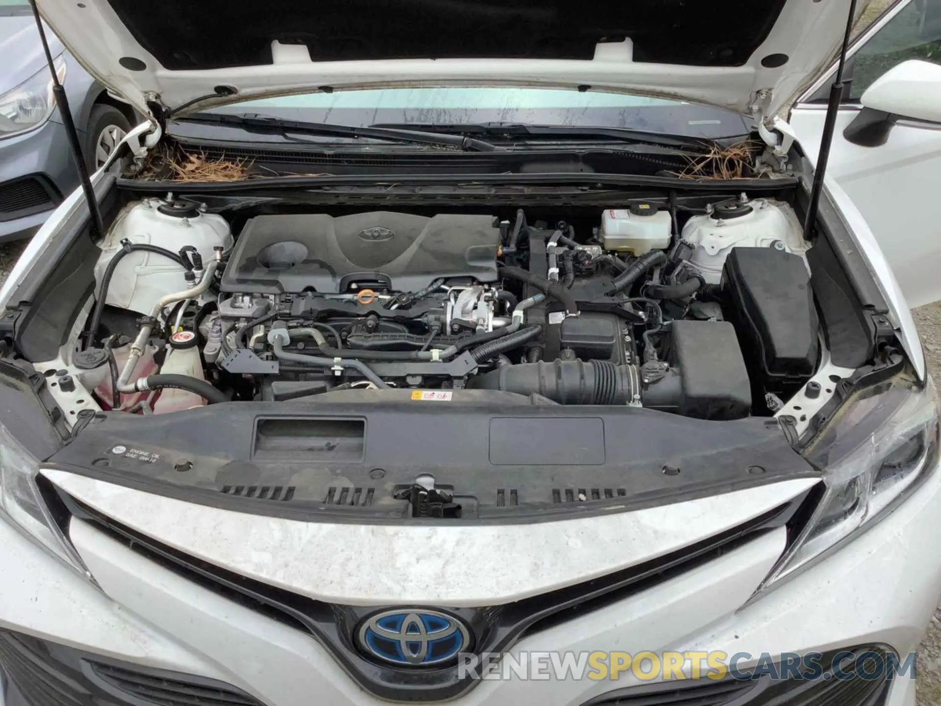 26 Photograph of a damaged car 4T1B31HK8KU513998 TOYOTA CAMRY 2019