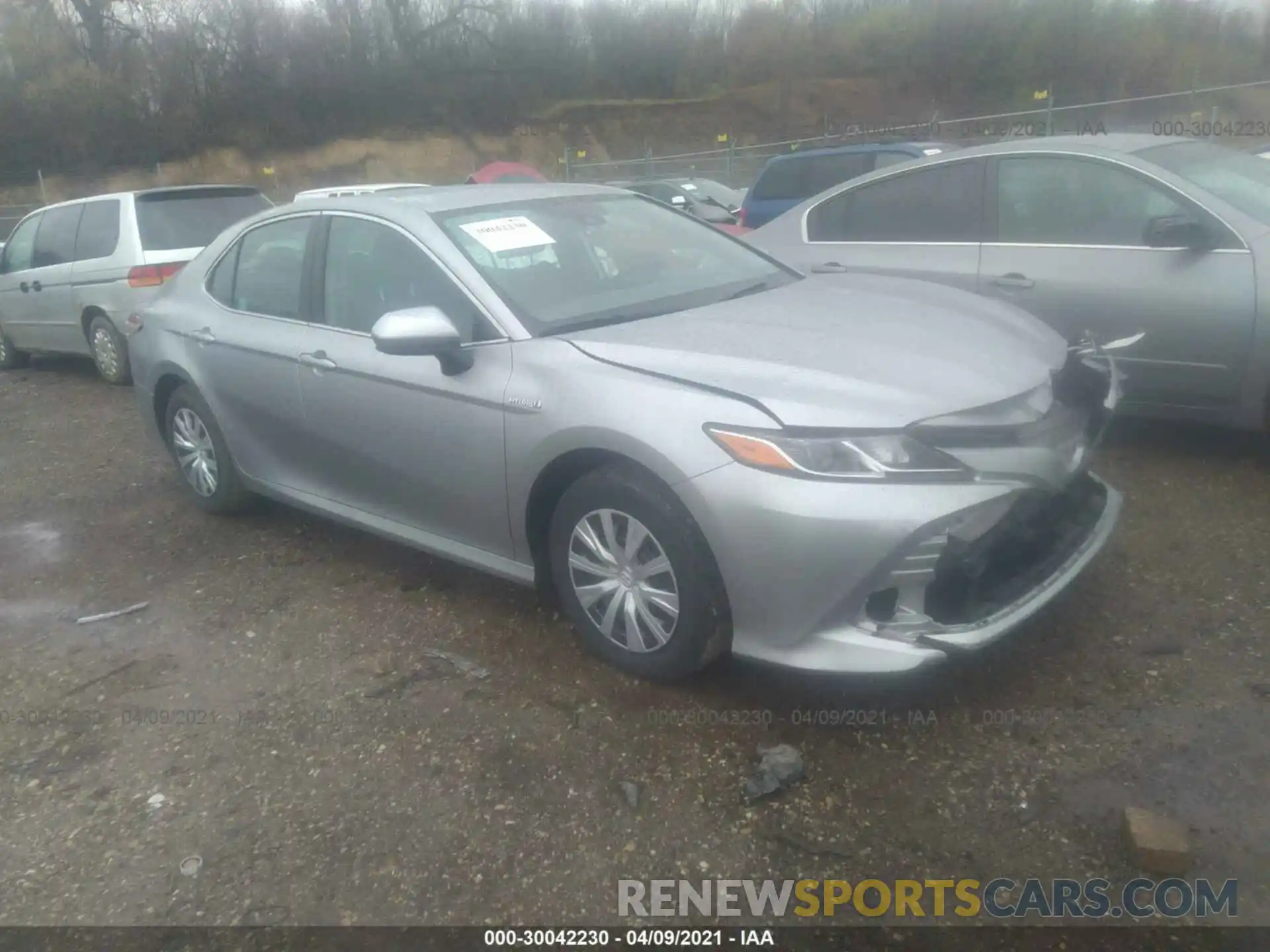 1 Photograph of a damaged car 4T1B31HK8KU514892 TOYOTA CAMRY 2019