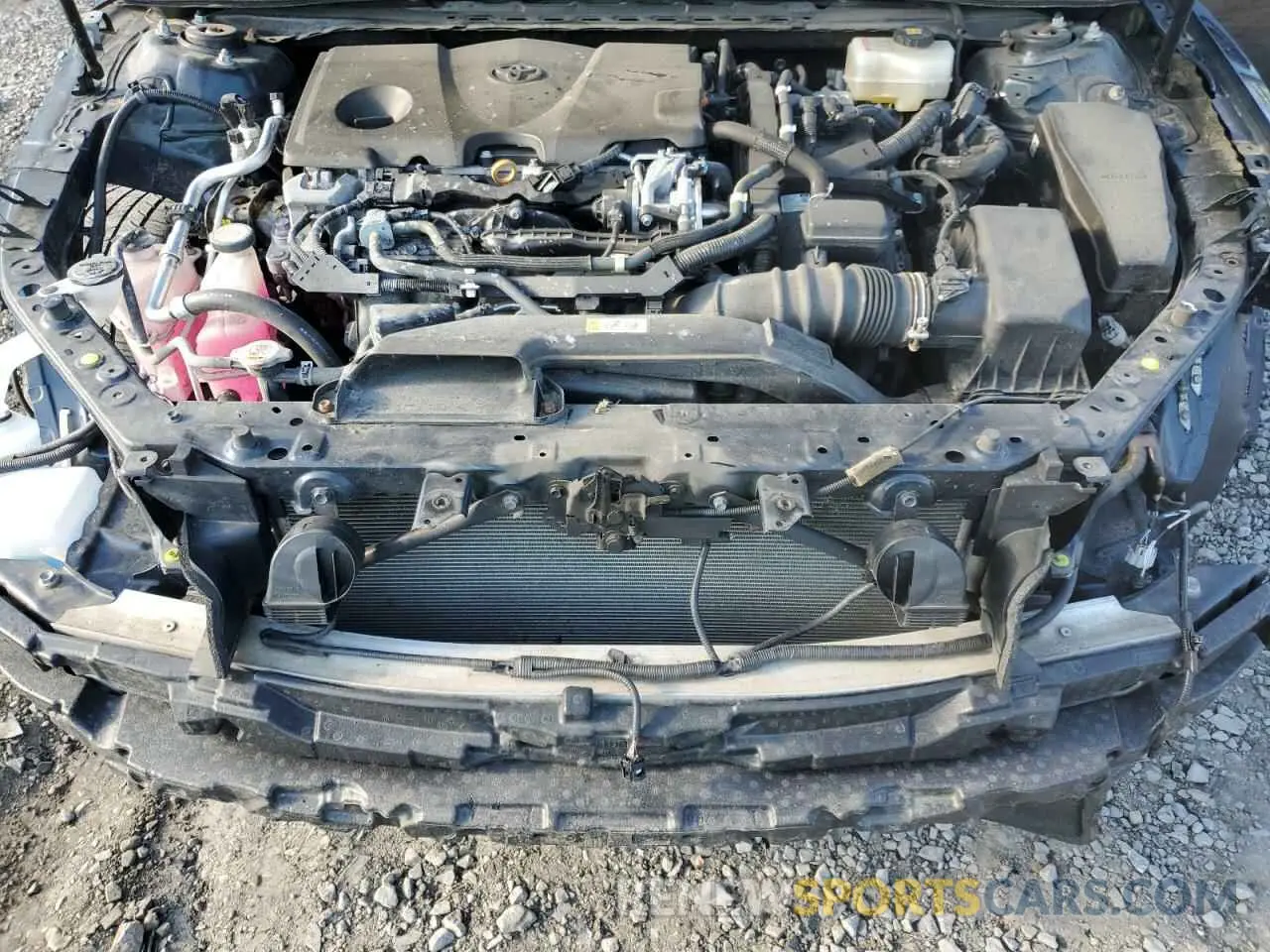11 Photograph of a damaged car 4T1B31HK8KU515332 TOYOTA CAMRY 2019