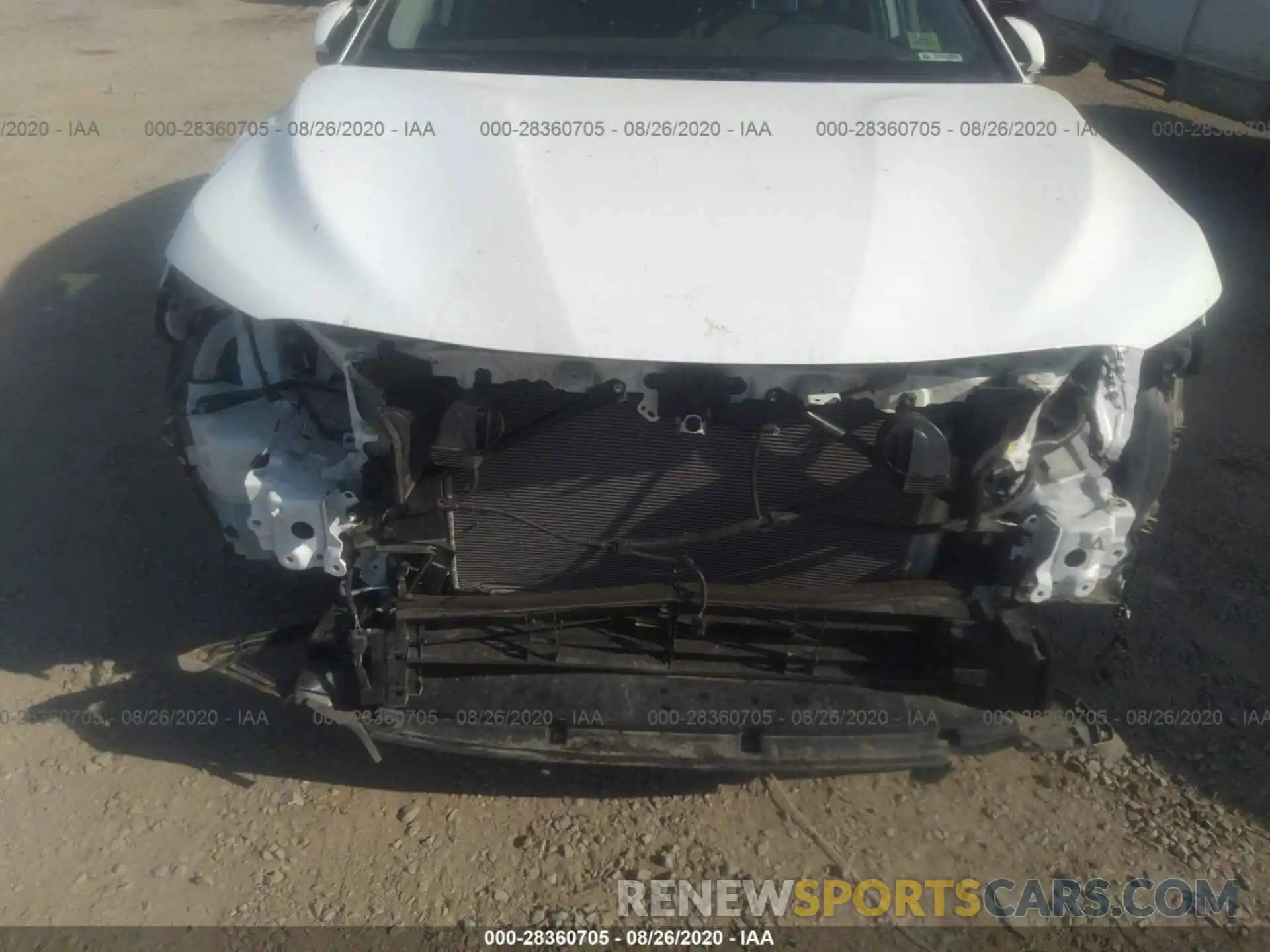 6 Photograph of a damaged car 4T1B31HK8KU515606 TOYOTA CAMRY 2019