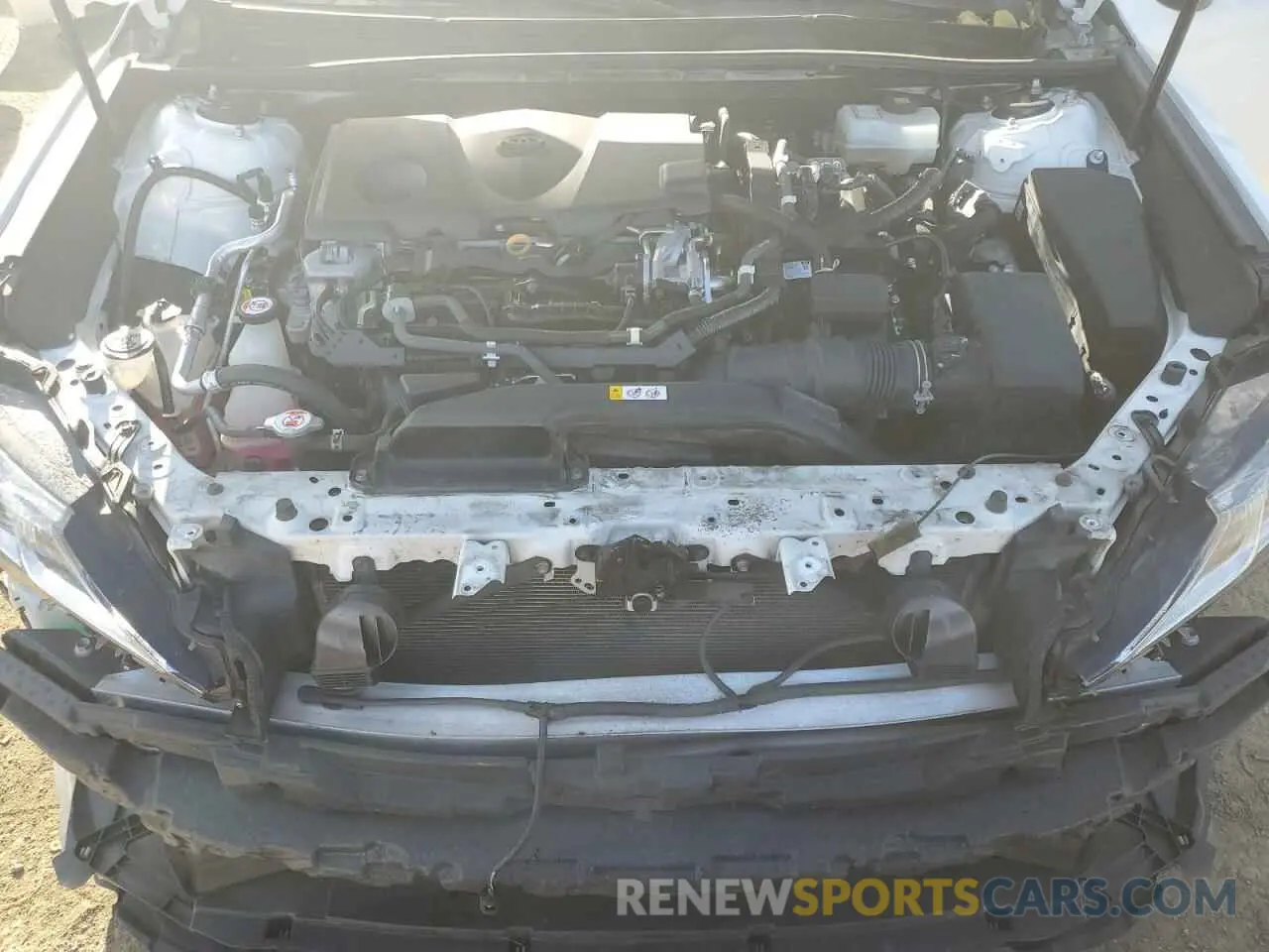 11 Photograph of a damaged car 4T1B31HK9KU515016 TOYOTA CAMRY 2019