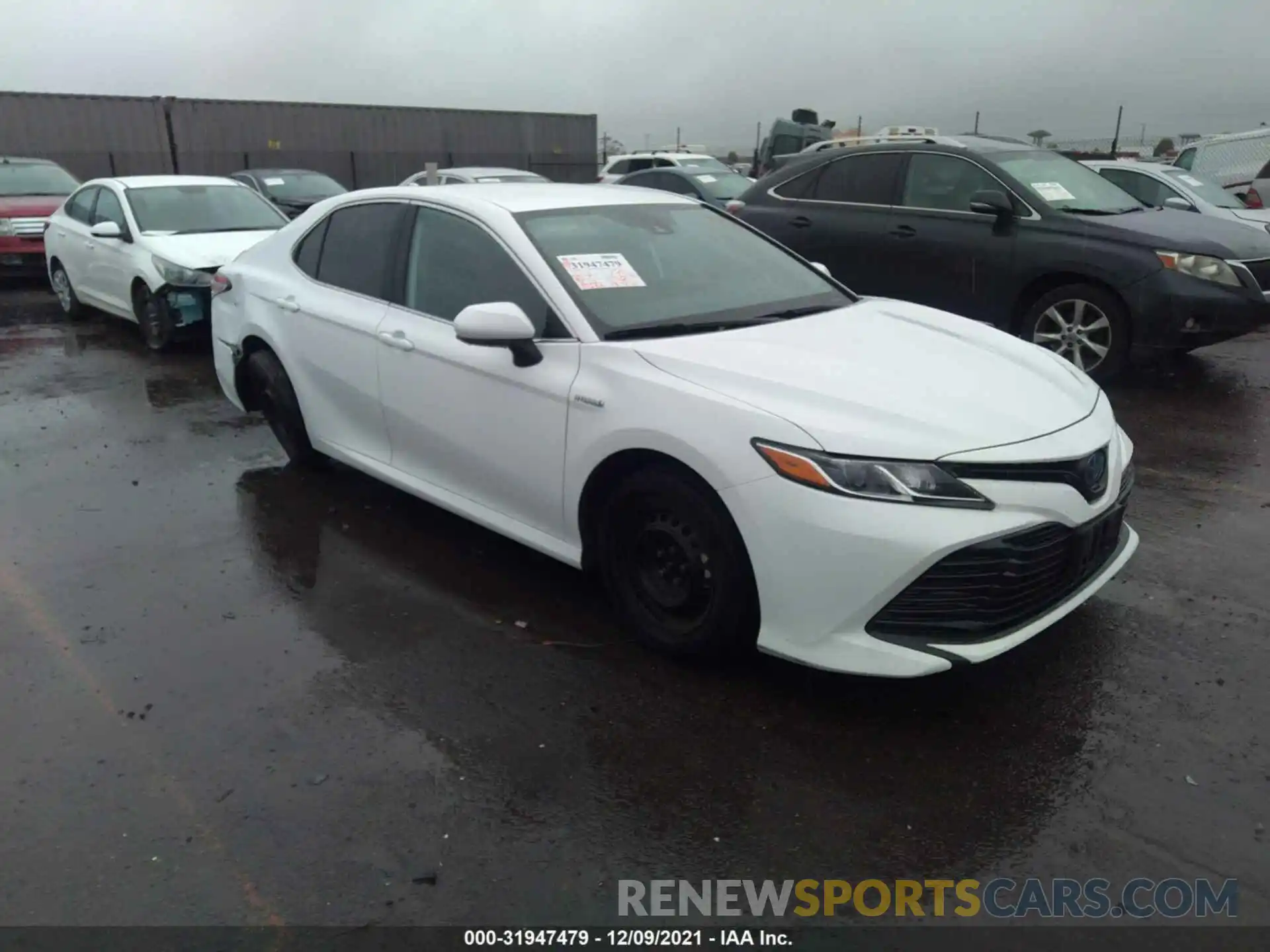 1 Photograph of a damaged car 4T1B31HK9KU516795 TOYOTA CAMRY 2019