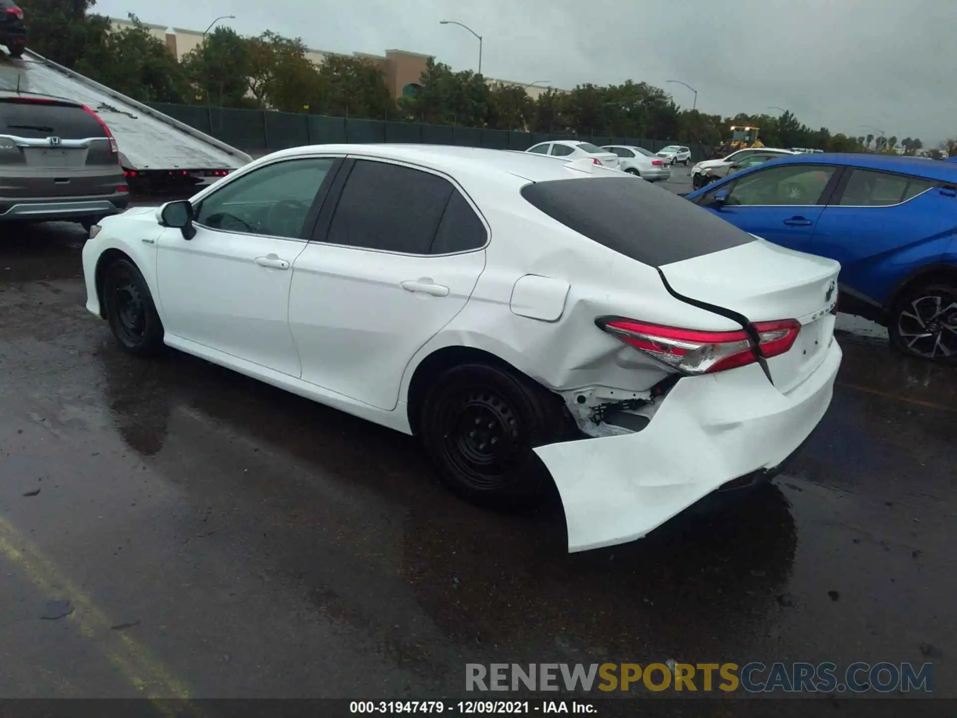 3 Photograph of a damaged car 4T1B31HK9KU516795 TOYOTA CAMRY 2019