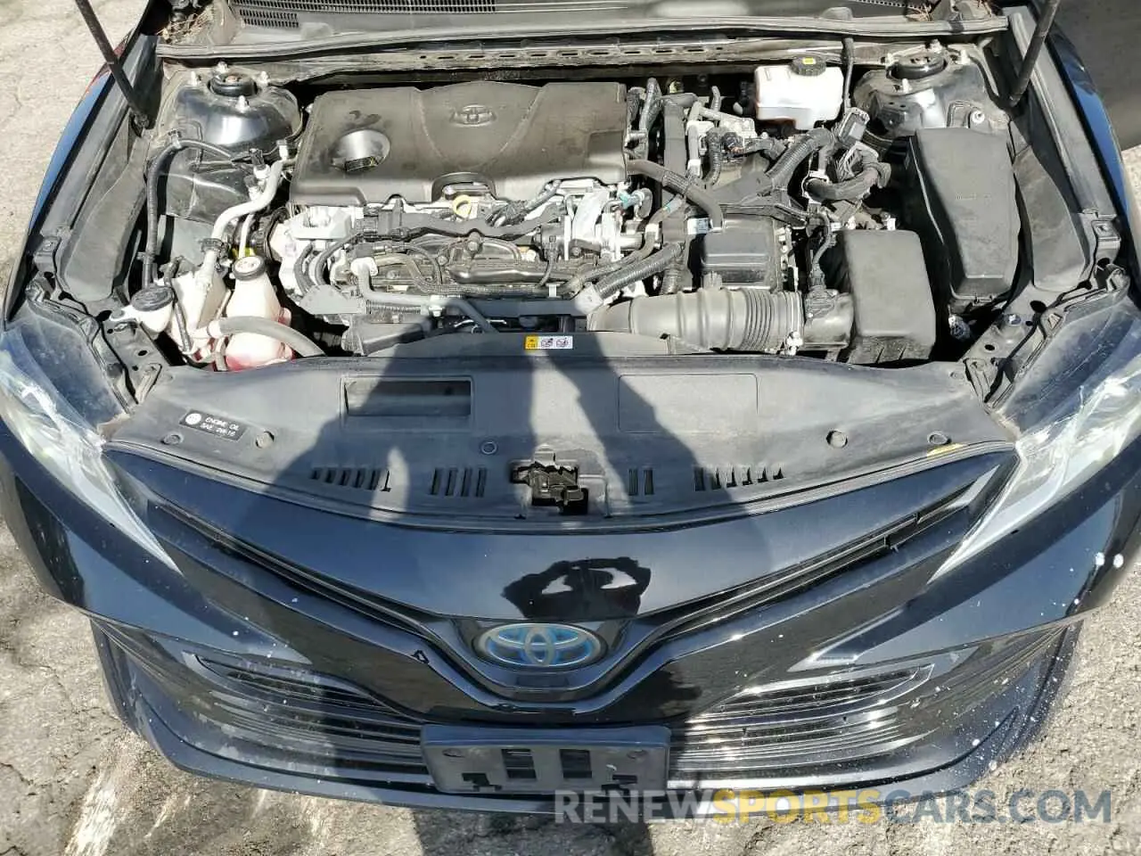 13 Photograph of a damaged car 4T1B31HKXKU510469 TOYOTA CAMRY 2019