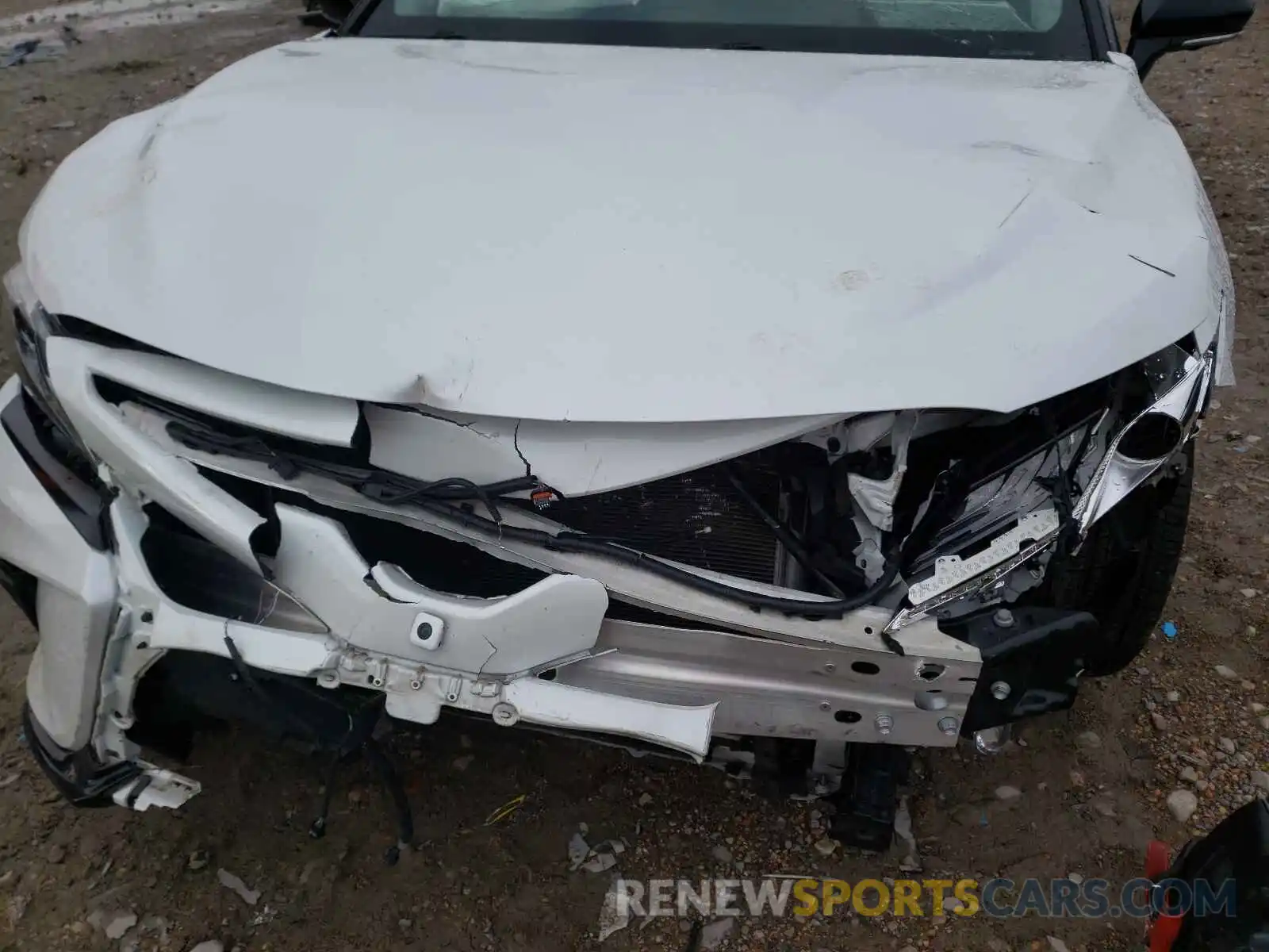 9 Photograph of a damaged car 4T1B61HK2KU244517 TOYOTA CAMRY 2019