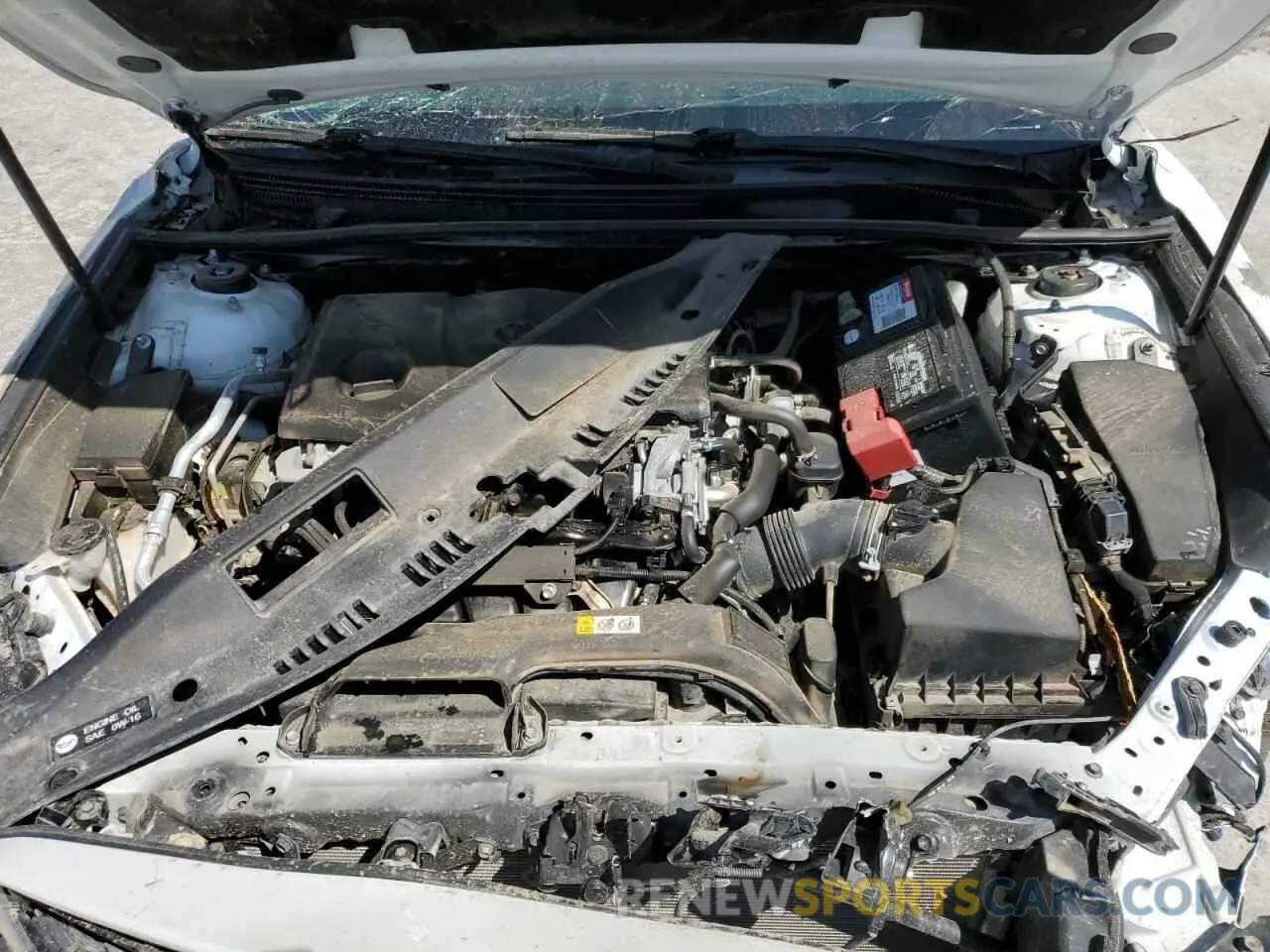 12 Photograph of a damaged car 4T1B61HK4KU188984 TOYOTA CAMRY 2019