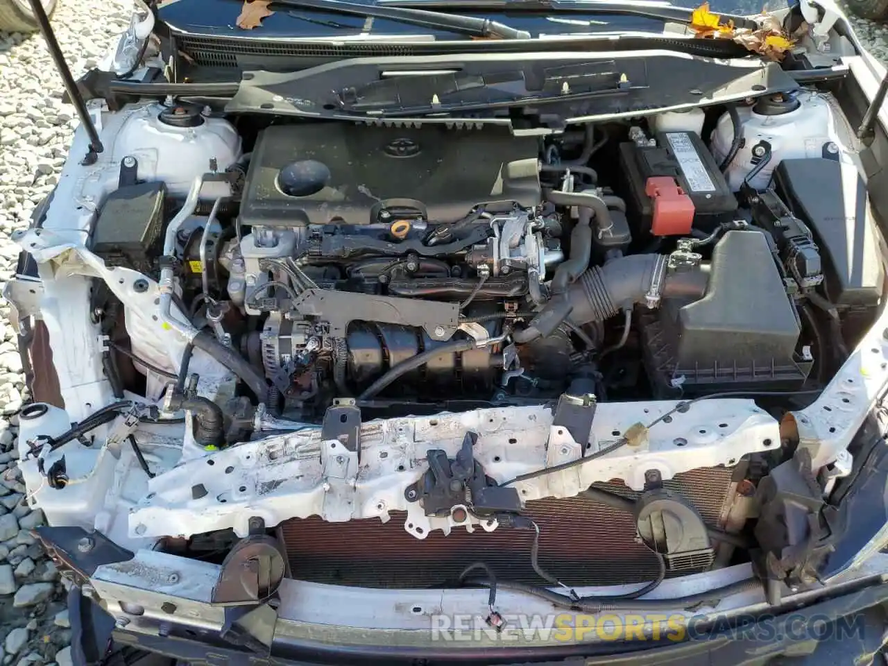 7 Photograph of a damaged car 4T1B61HK4KU261576 TOYOTA CAMRY 2019