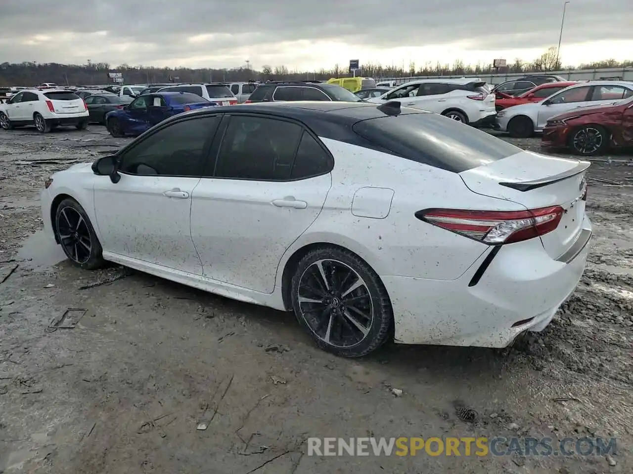 2 Photograph of a damaged car 4T1B61HK5KU296983 TOYOTA CAMRY 2019