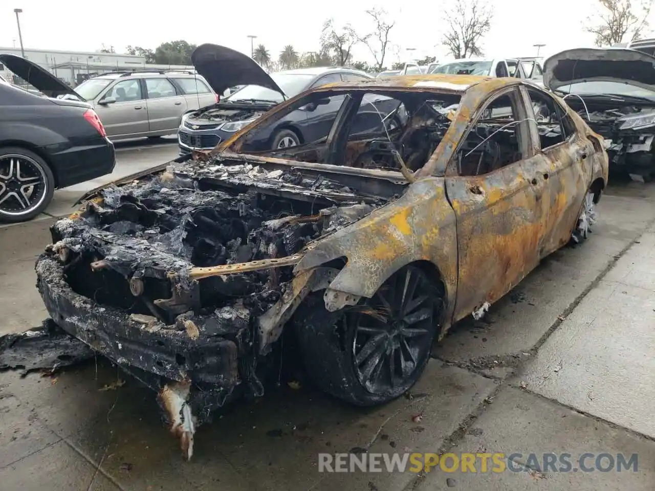 2 Photograph of a damaged car 4T1B61HK7KU768911 TOYOTA CAMRY 2019