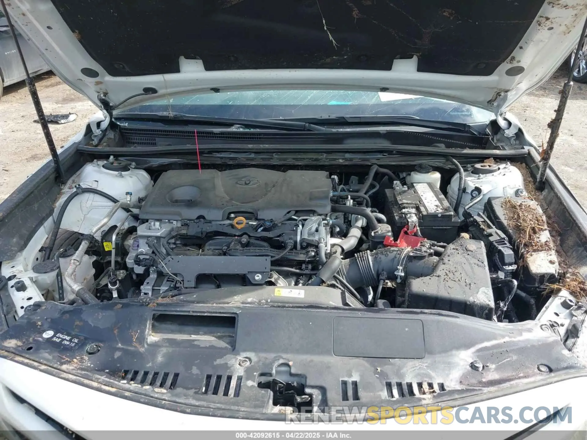 10 Photograph of a damaged car 4T1B61HK8KU295536 TOYOTA CAMRY 2019