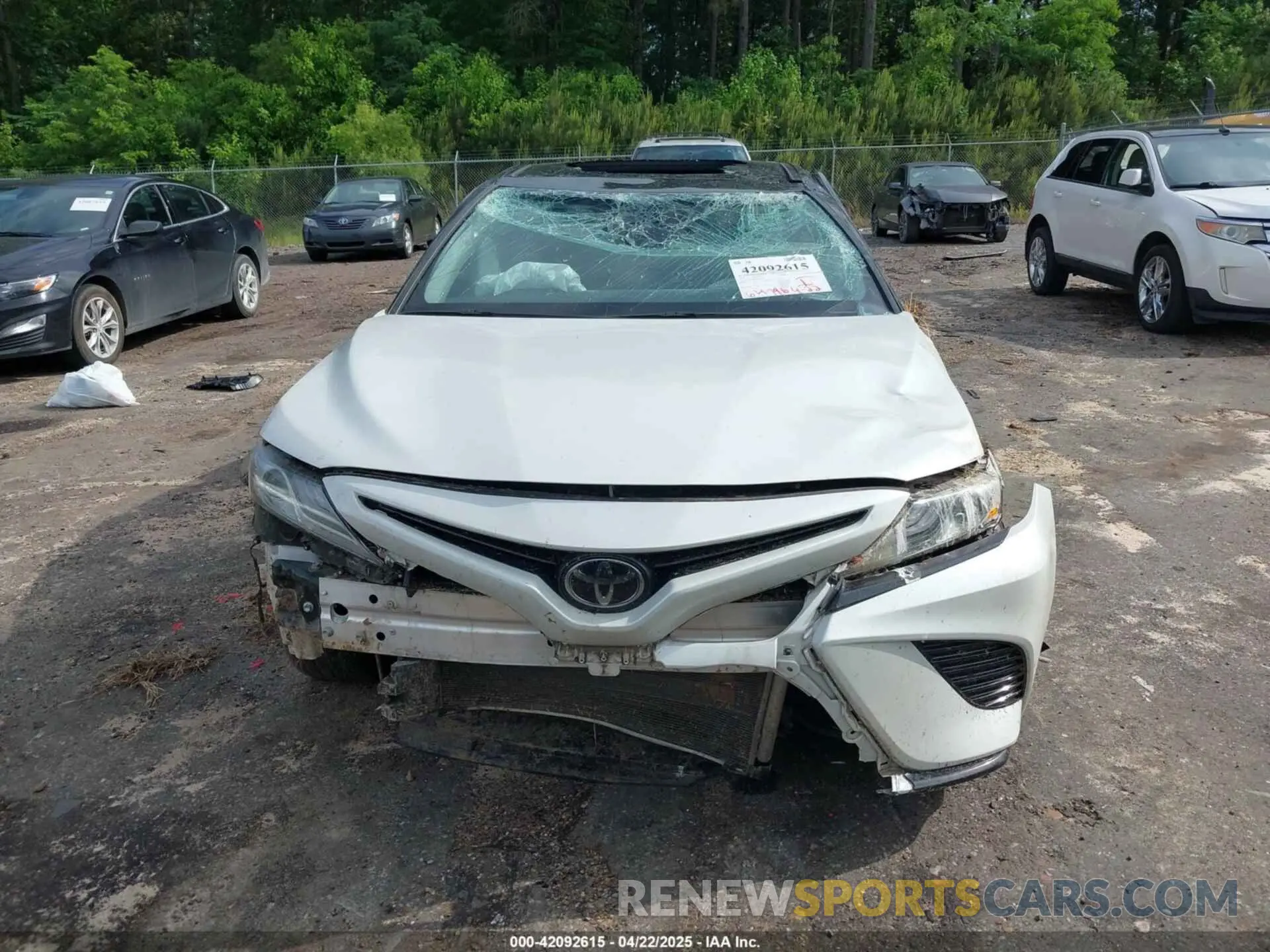 12 Photograph of a damaged car 4T1B61HK8KU295536 TOYOTA CAMRY 2019