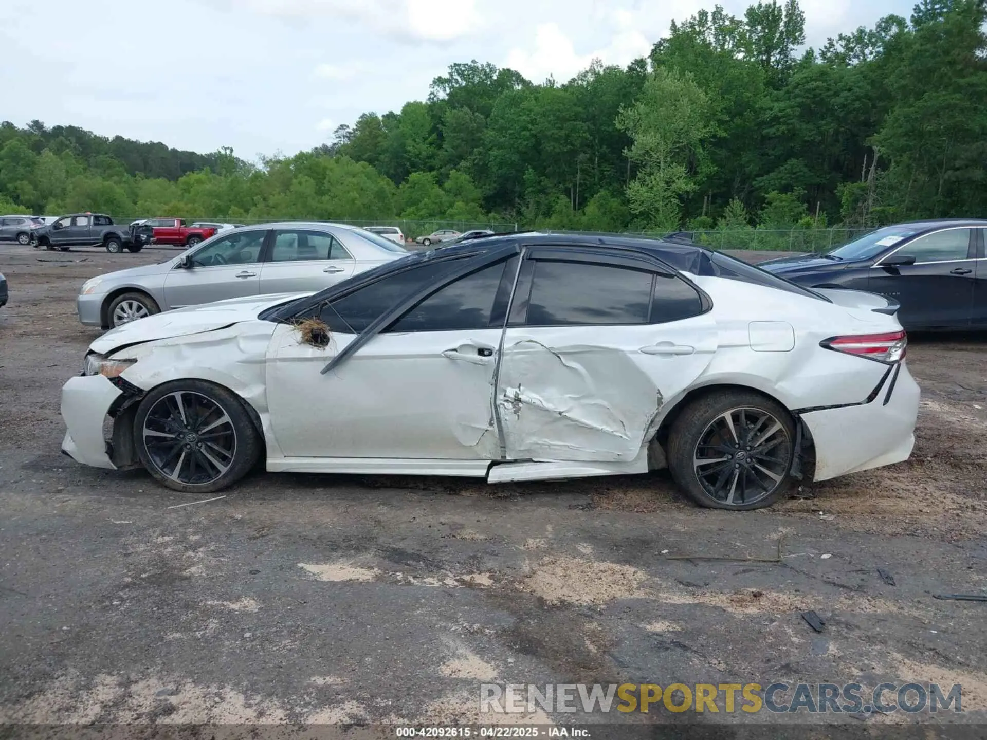 14 Photograph of a damaged car 4T1B61HK8KU295536 TOYOTA CAMRY 2019