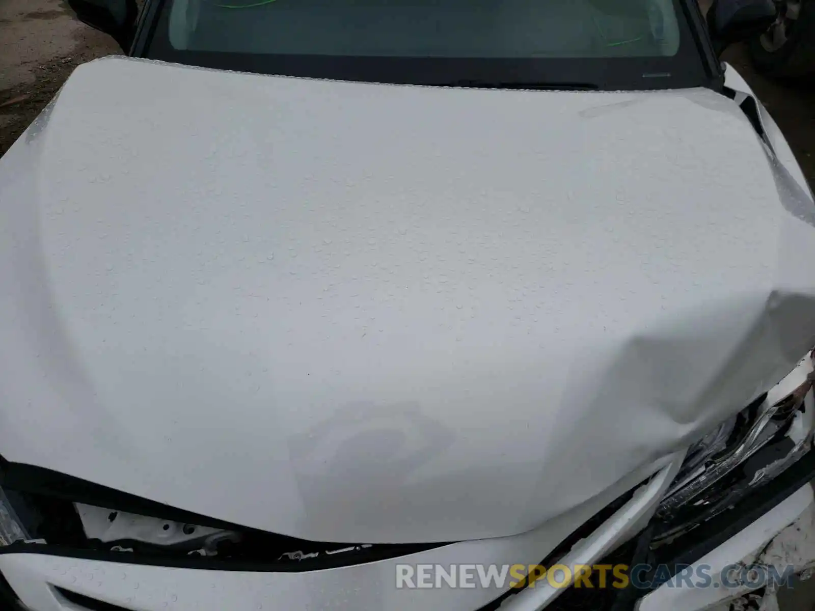 7 Photograph of a damaged car 4T1BZ1HK3KU024925 TOYOTA CAMRY 2019