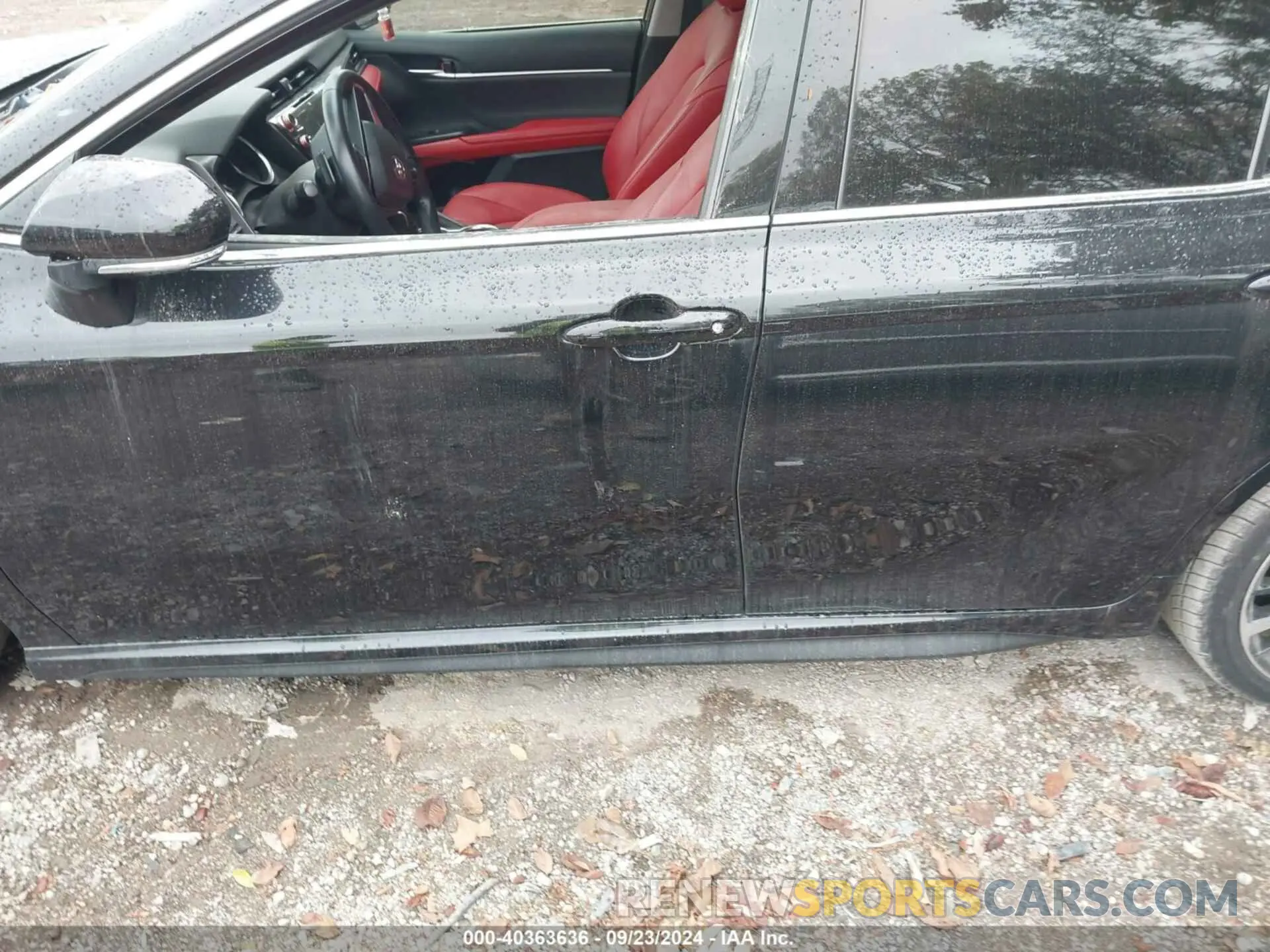 14 Photograph of a damaged car 4T1BZ1HK3KU029302 TOYOTA CAMRY 2019
