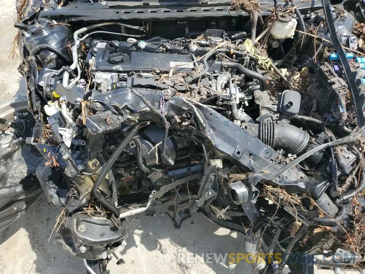 11 Photograph of a damaged car 4T1C11AK1LU993257 TOYOTA CAMRY 2020
