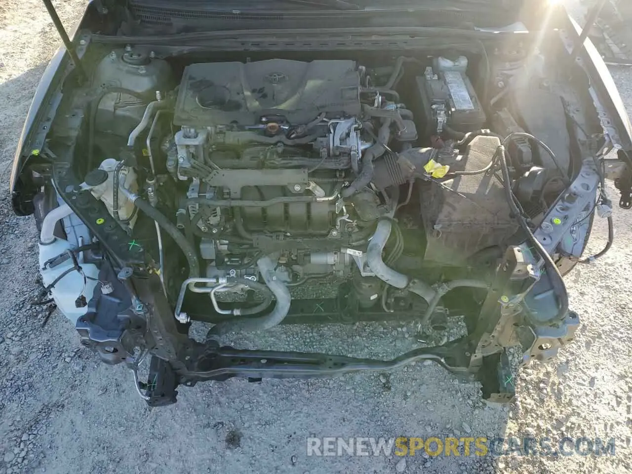 11 Photograph of a damaged car 4T1C11AK3LU995284 TOYOTA CAMRY 2020