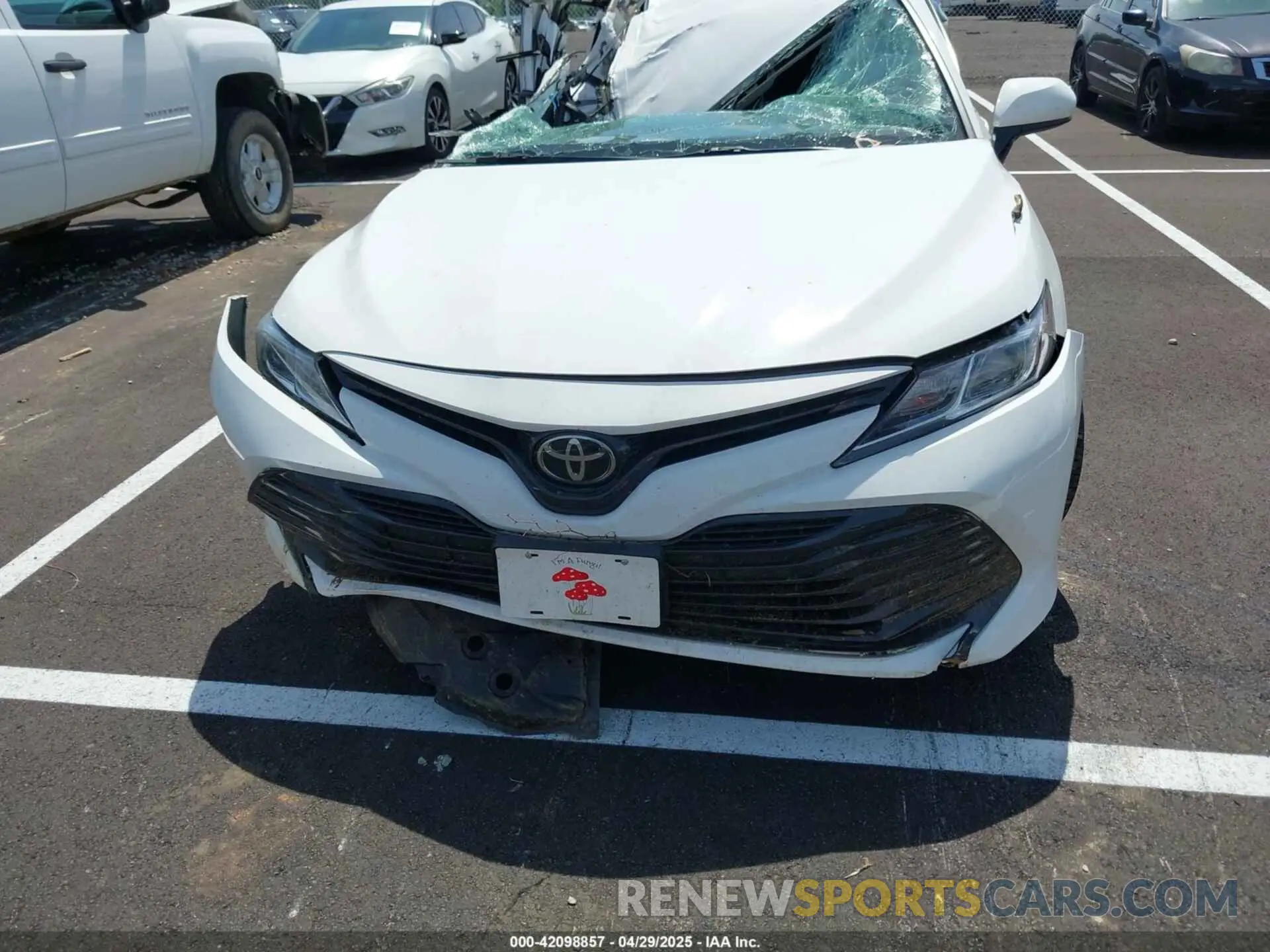 12 Photograph of a damaged car 4T1C11AK7LU313359 TOYOTA CAMRY 2020