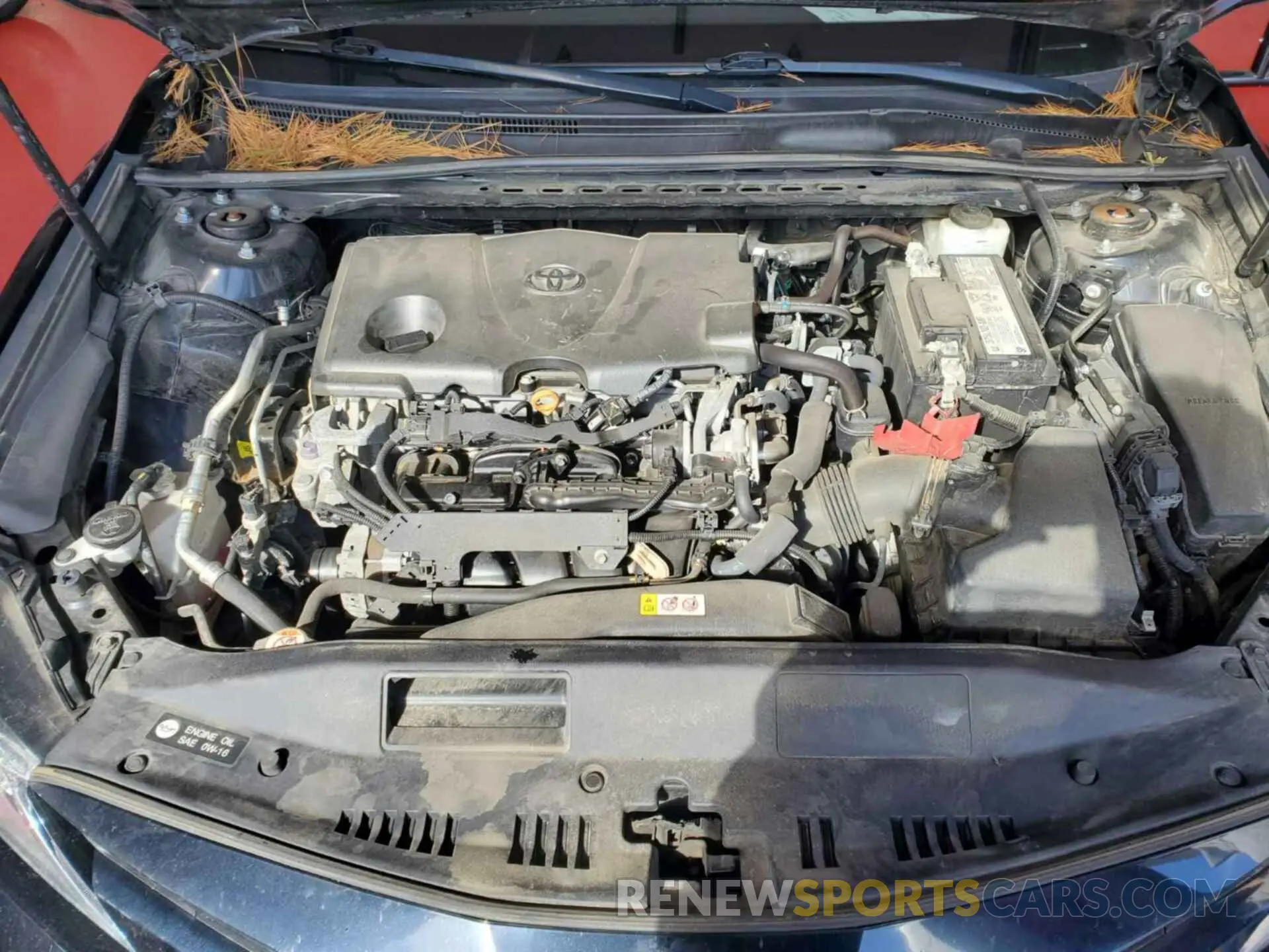 19 Photograph of a damaged car 4T1C11AK8LU926008 TOYOTA CAMRY 2020