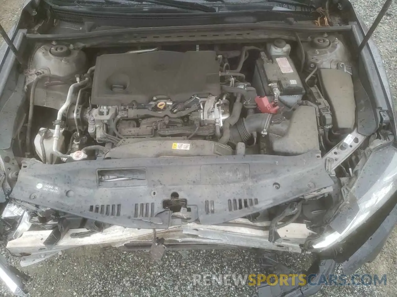 12 Photograph of a damaged car 4T1C11AK9LU923604 TOYOTA CAMRY 2020