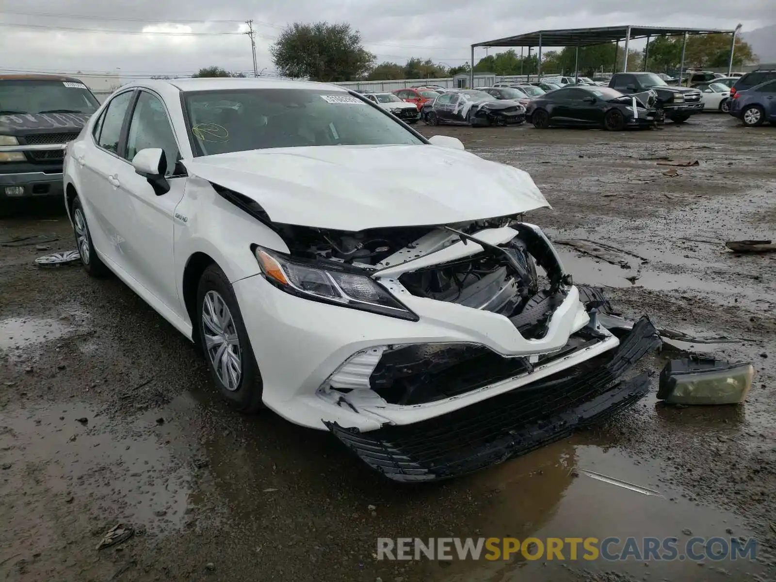 1 Photograph of a damaged car 4T1C31AKXLU016337 TOYOTA CAMRY 2020