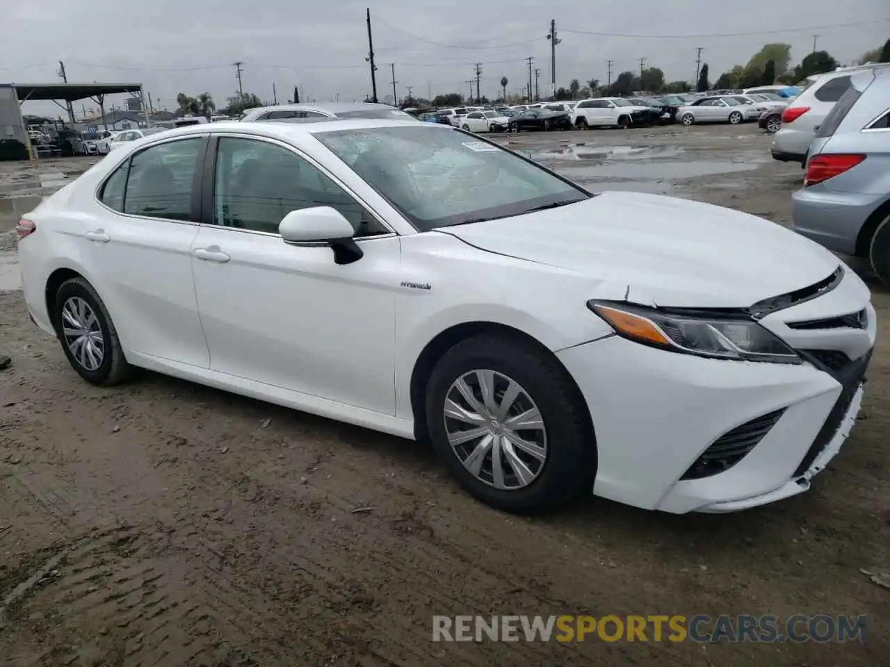 4 Photograph of a damaged car 4T1E31AK5LU011569 TOYOTA CAMRY 2020