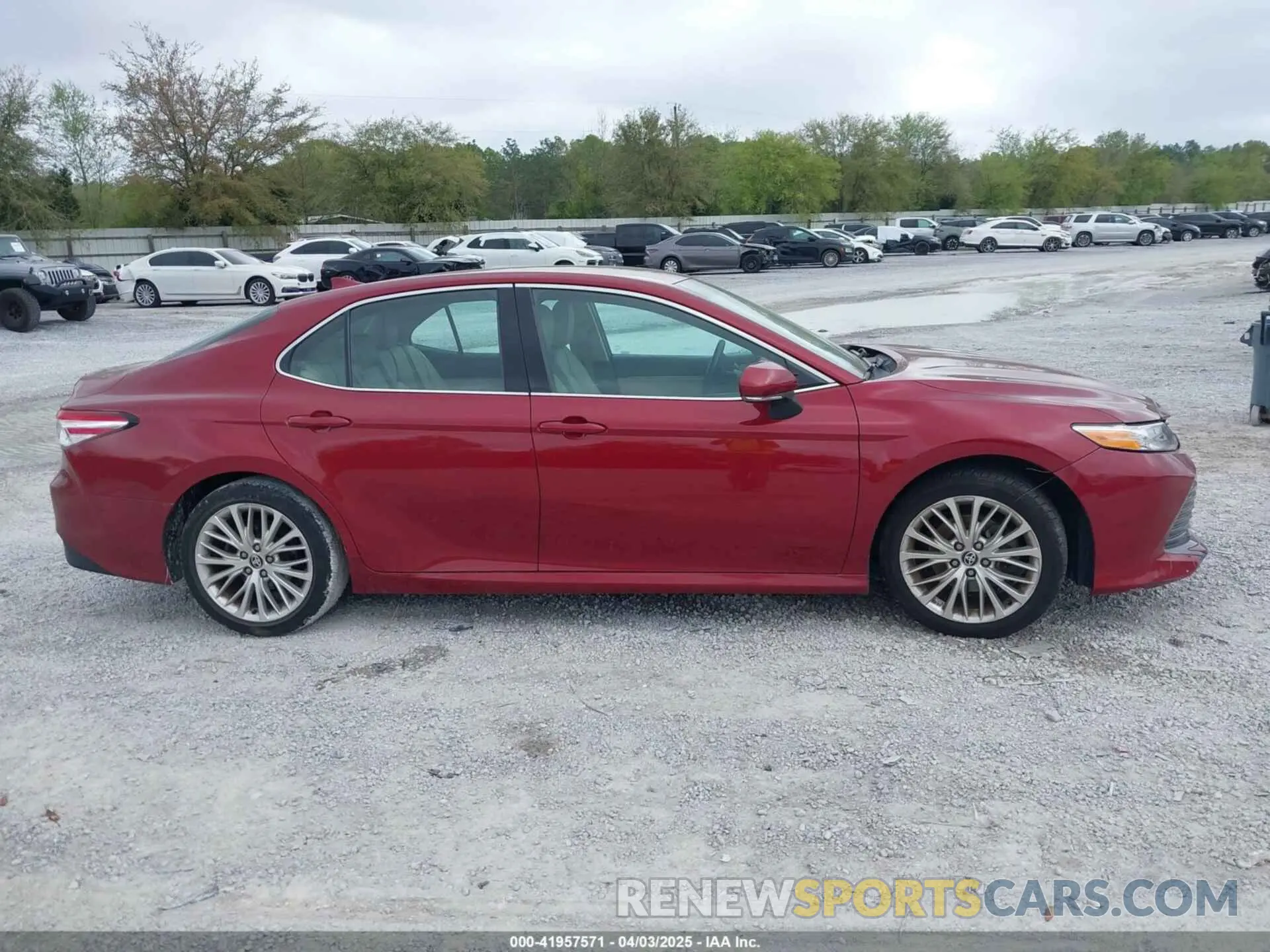 12 Photograph of a damaged car 4T1F11AK4LU316894 TOYOTA CAMRY 2020