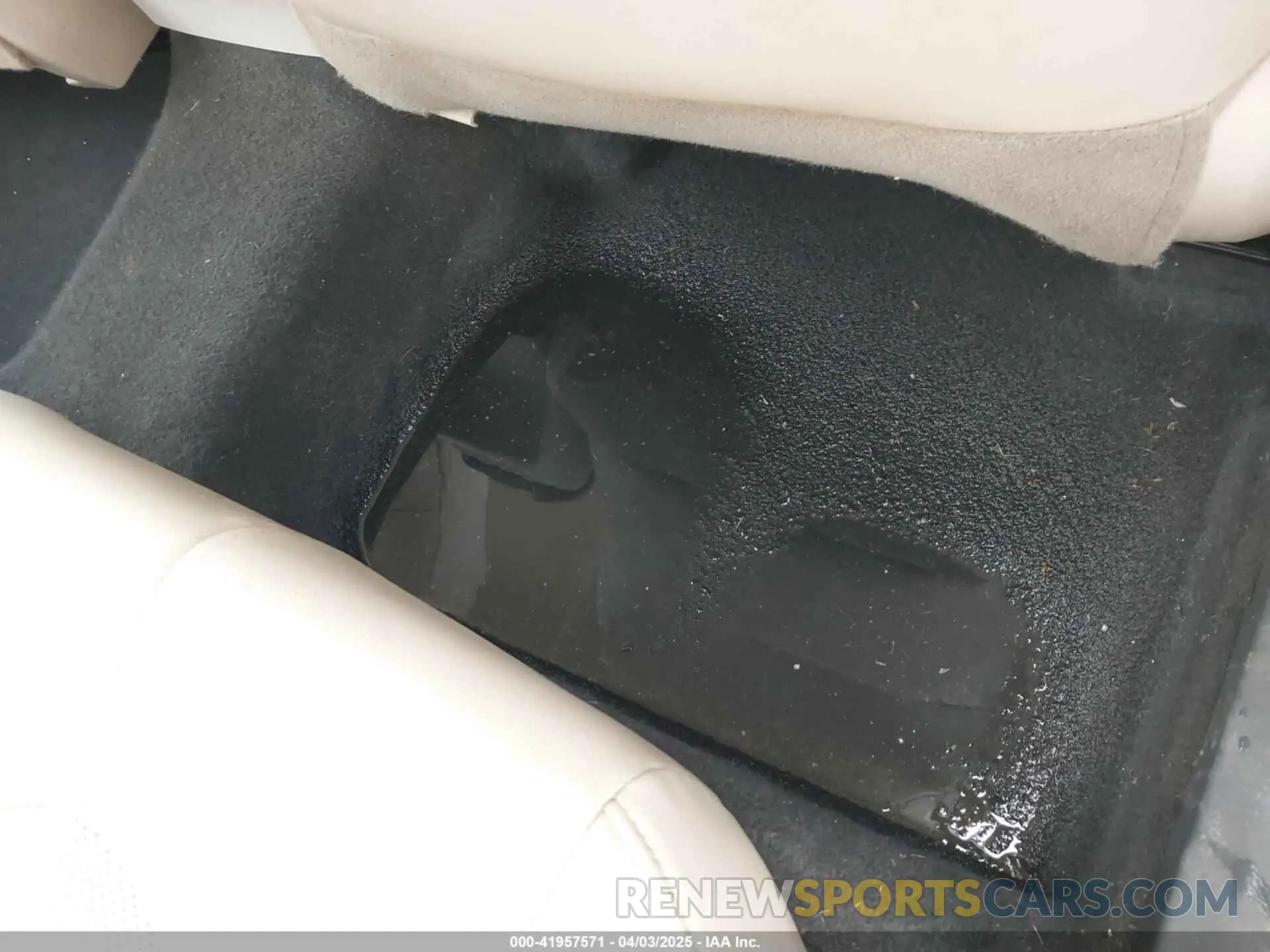 6 Photograph of a damaged car 4T1F11AK4LU316894 TOYOTA CAMRY 2020