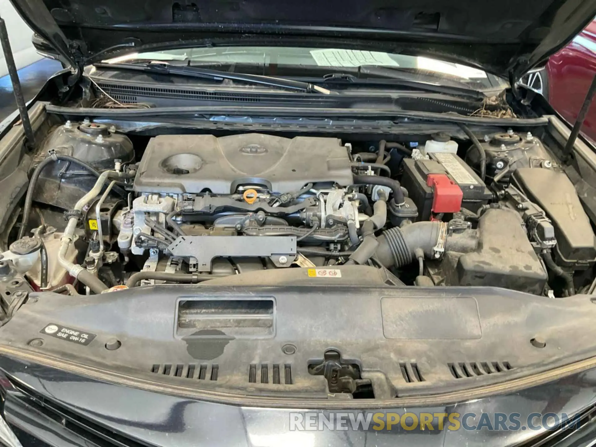 29 Photograph of a damaged car 4T1F11AK5LU943085 TOYOTA CAMRY 2020