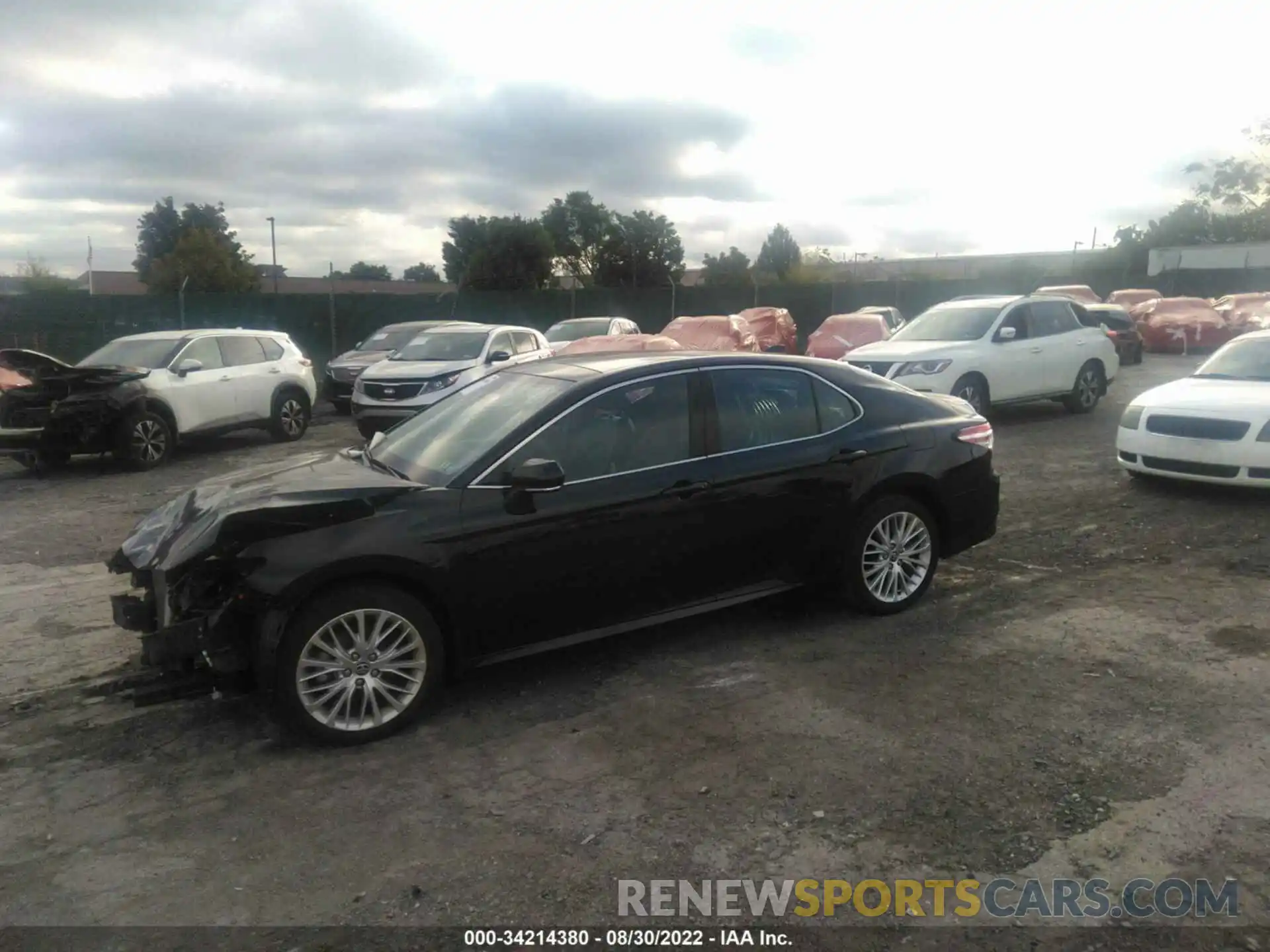 2 Photograph of a damaged car 4T1F11BK9LU019134 TOYOTA CAMRY 2020