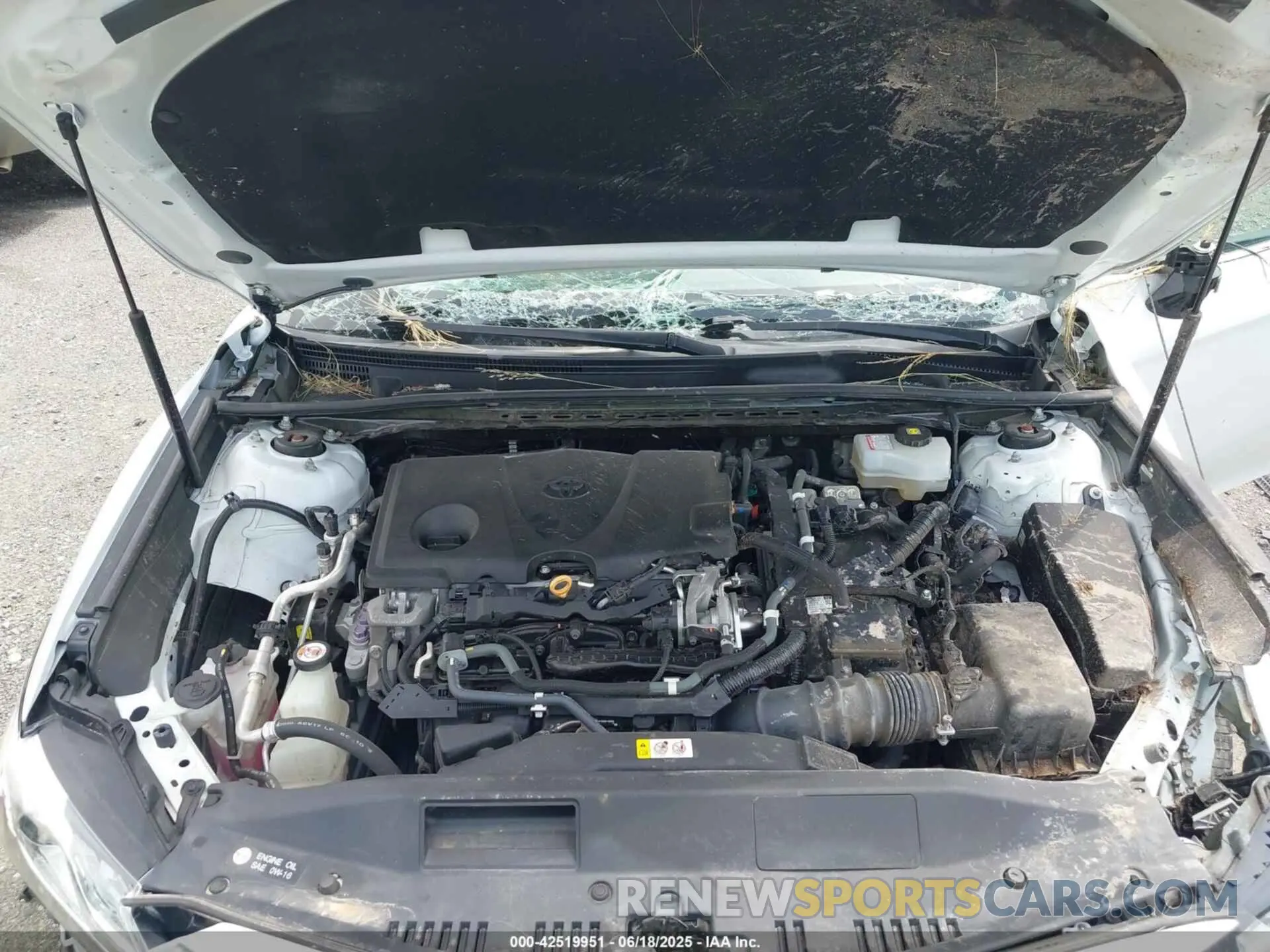 10 Photograph of a damaged car 4T1F31AK8LU520706 TOYOTA CAMRY 2020