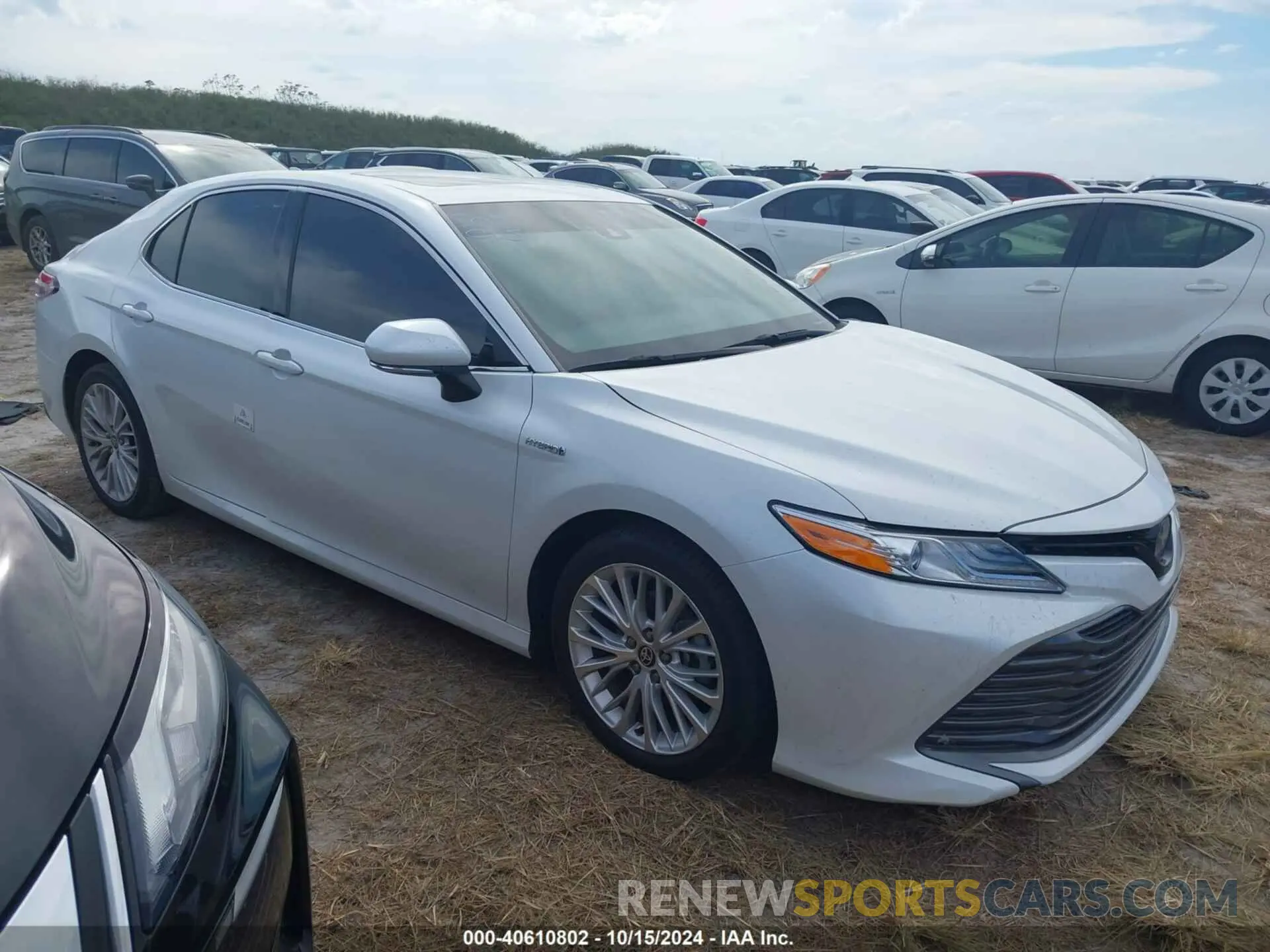 1 Photograph of a damaged car 4T1F31AK9LU014687 TOYOTA CAMRY 2020