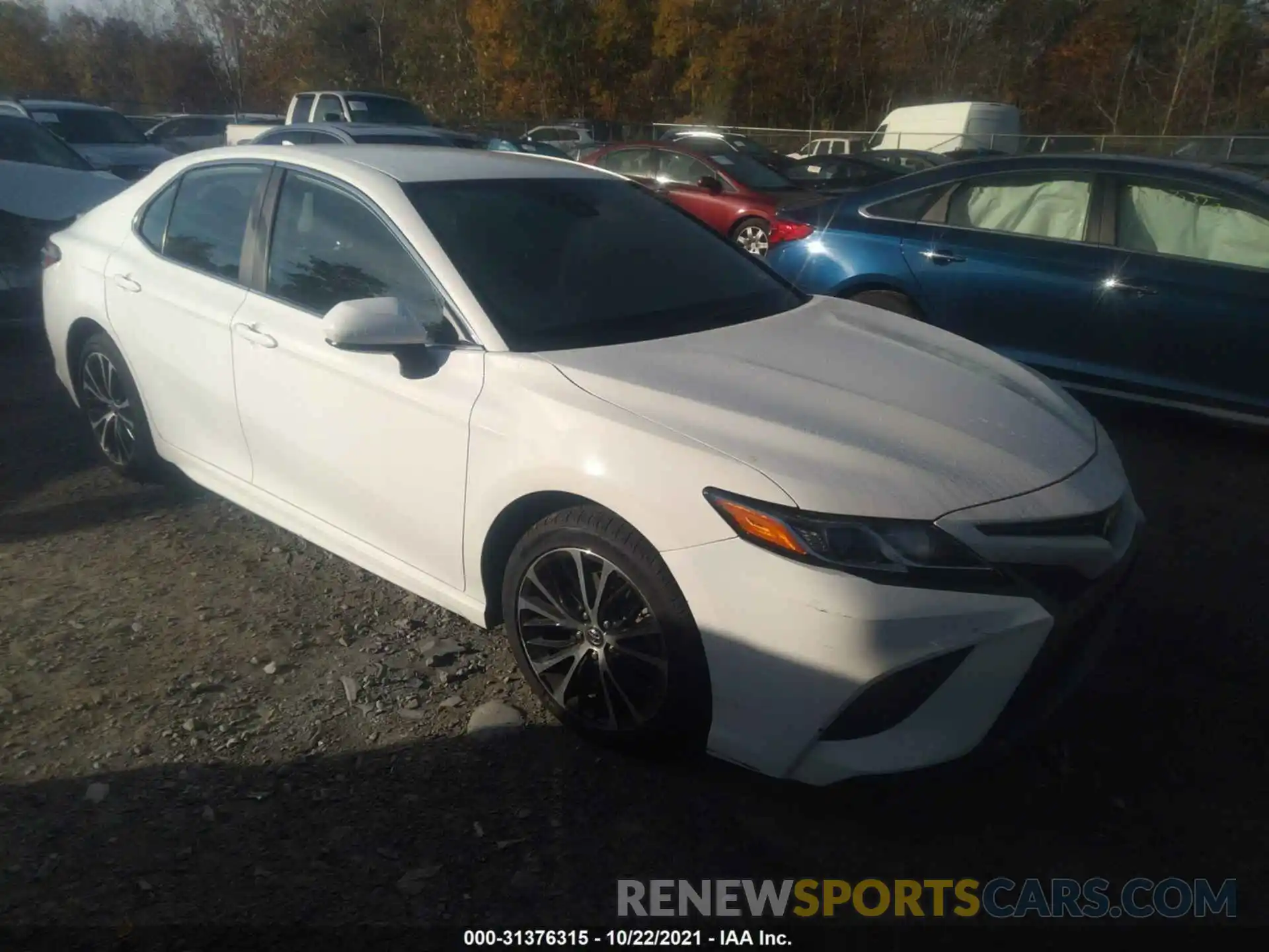 1 Photograph of a damaged car 4T1G11AK2LU343239 TOYOTA CAMRY 2020