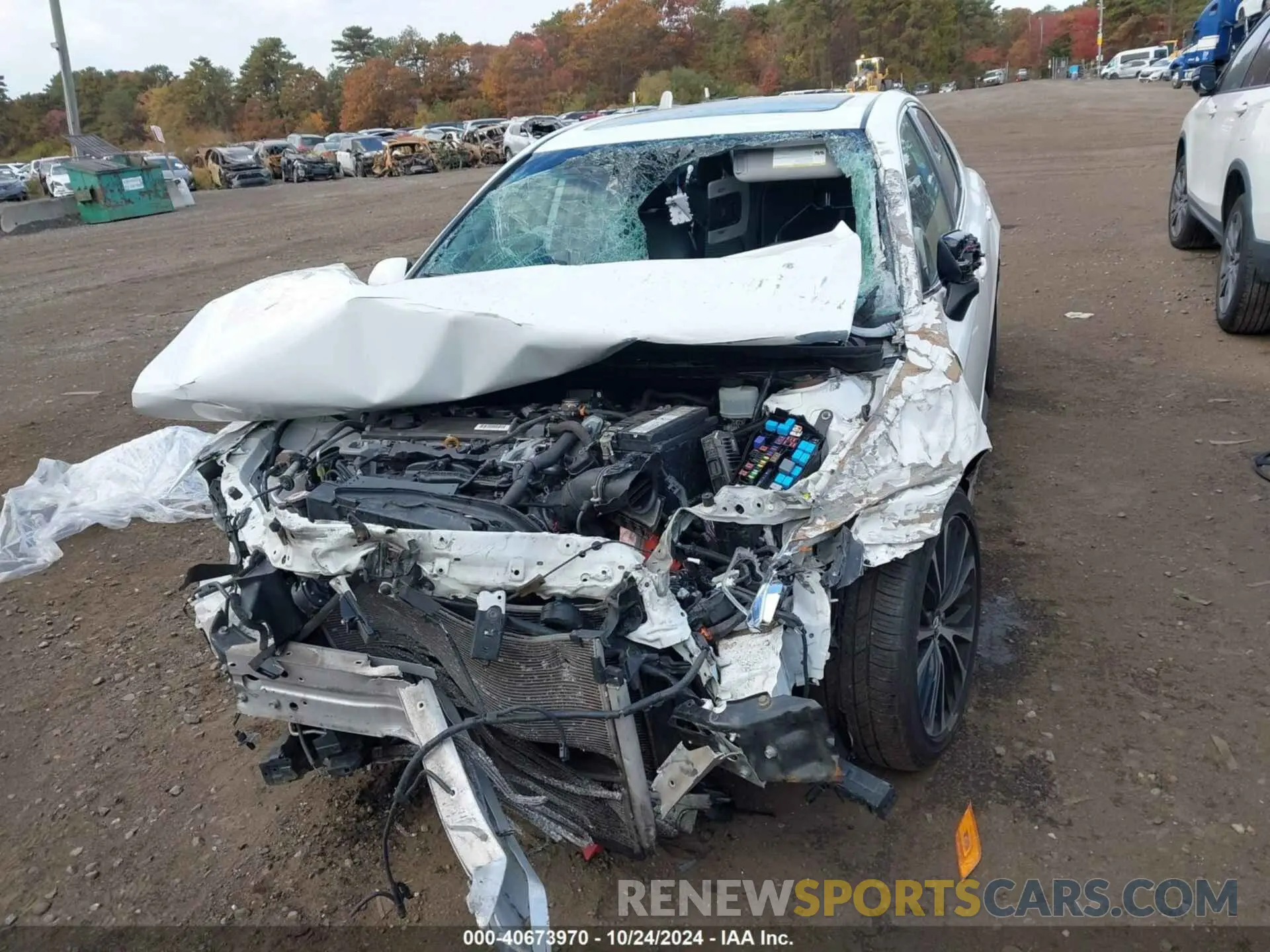 12 Photograph of a damaged car 4T1G11AK2LU865207 TOYOTA CAMRY 2020