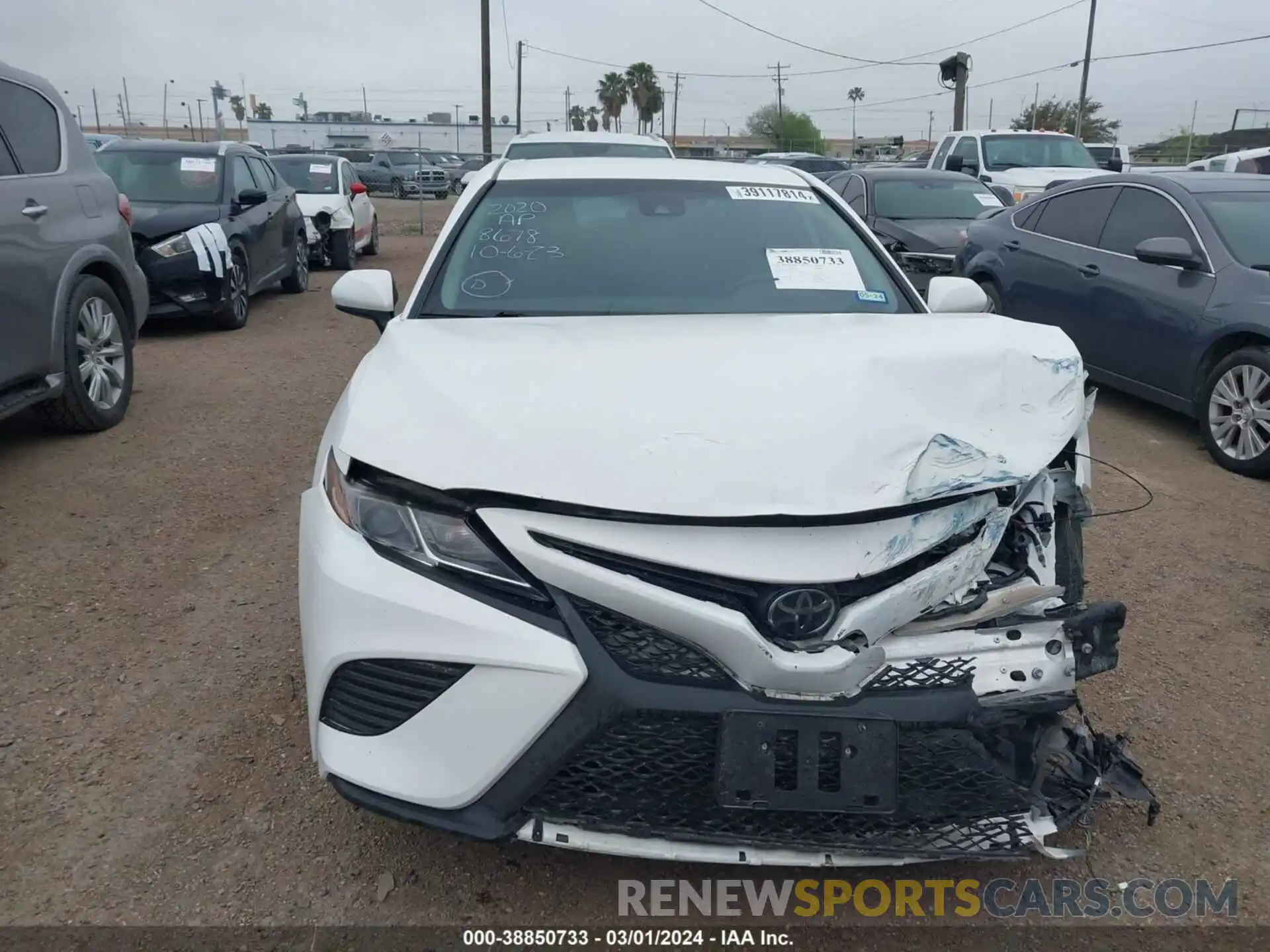 12 Photograph of a damaged car 4T1G11AK2LU888678 TOYOTA CAMRY 2020