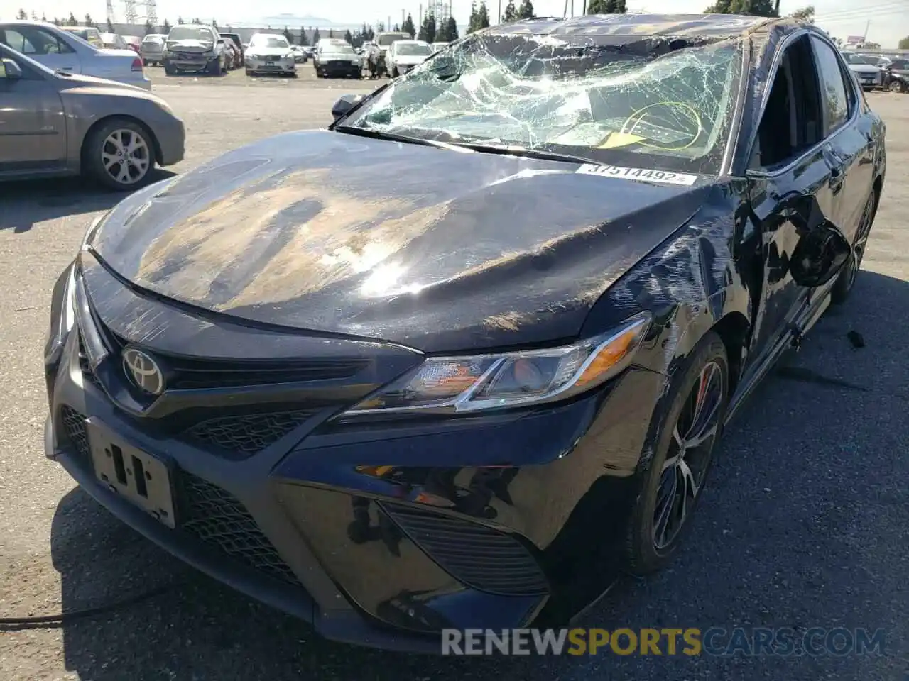 2 Photograph of a damaged car 4T1G11AK3LU954025 TOYOTA CAMRY 2020