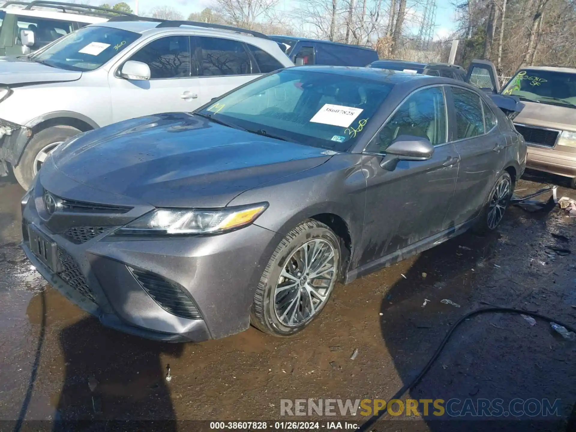 2 Photograph of a damaged car 4T1G11AK3LU980446 TOYOTA CAMRY 2020