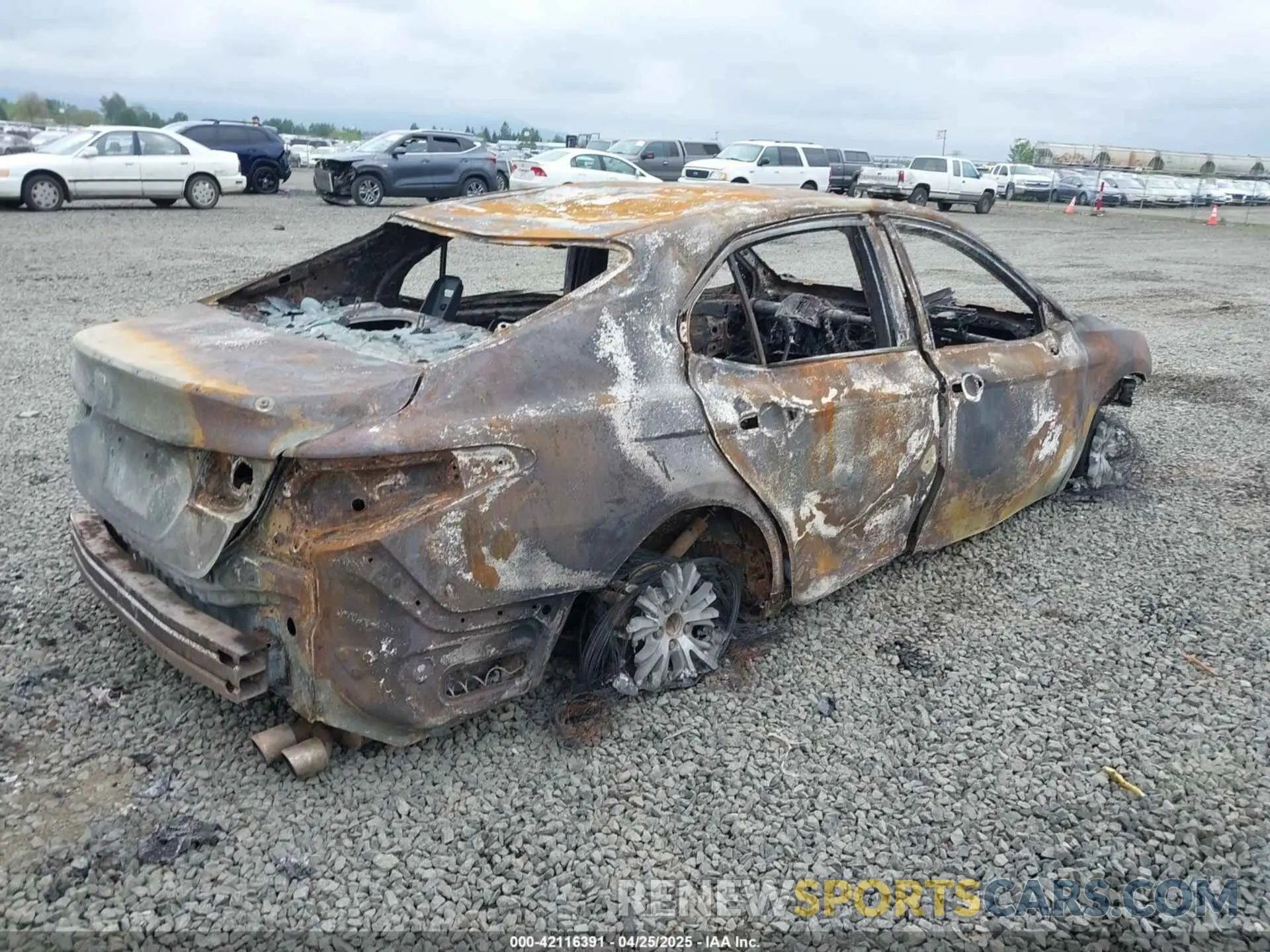 4 Photograph of a damaged car 4T1G11AK5LU306847 TOYOTA CAMRY 2020