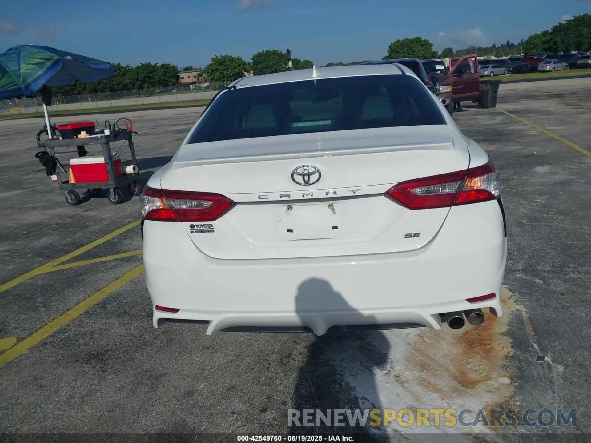 17 Photograph of a damaged car 4T1G11AK6LU914800 TOYOTA CAMRY 2020