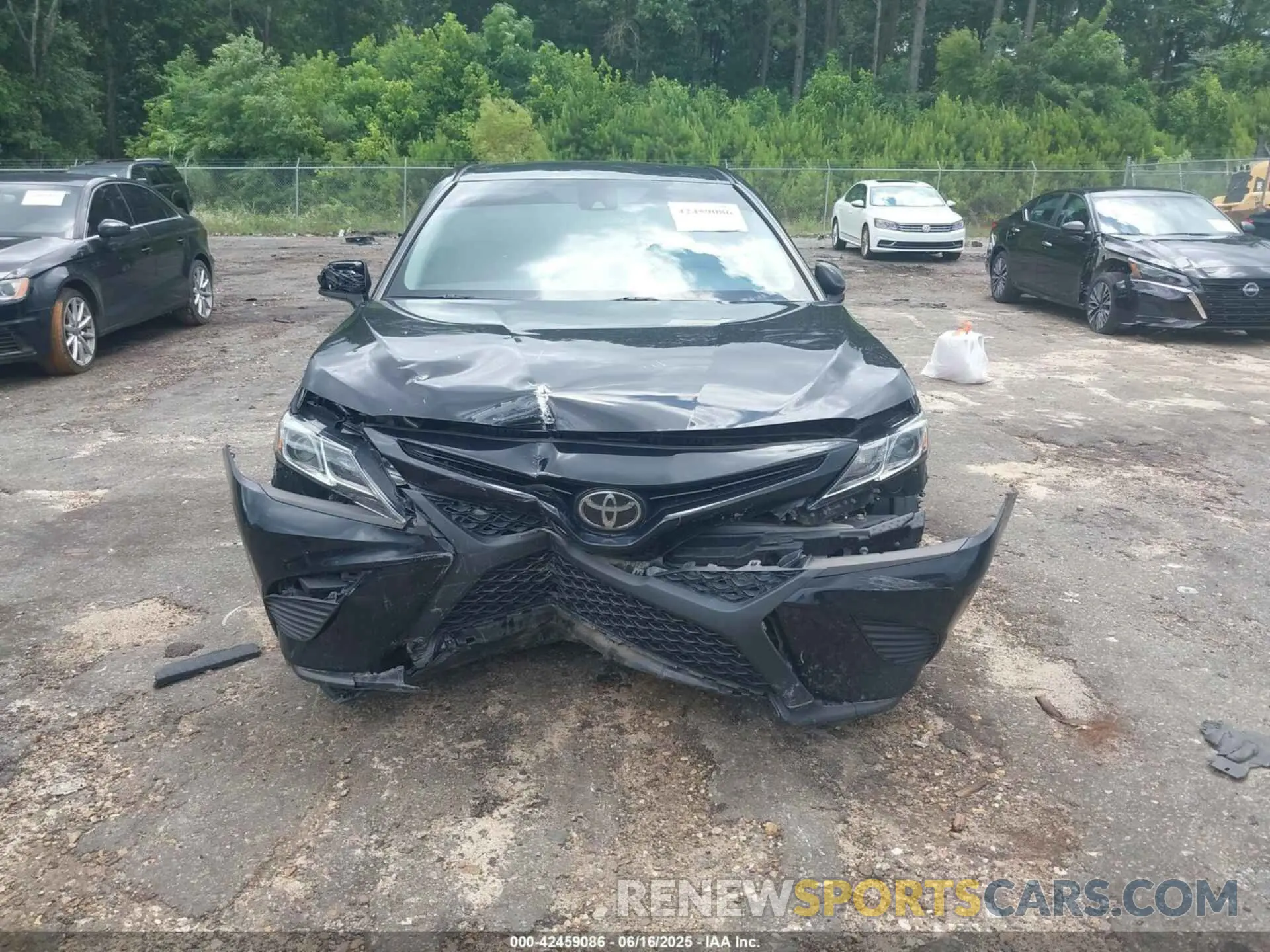 12 Photograph of a damaged car 4T1G11AK7LU397121 TOYOTA CAMRY 2020