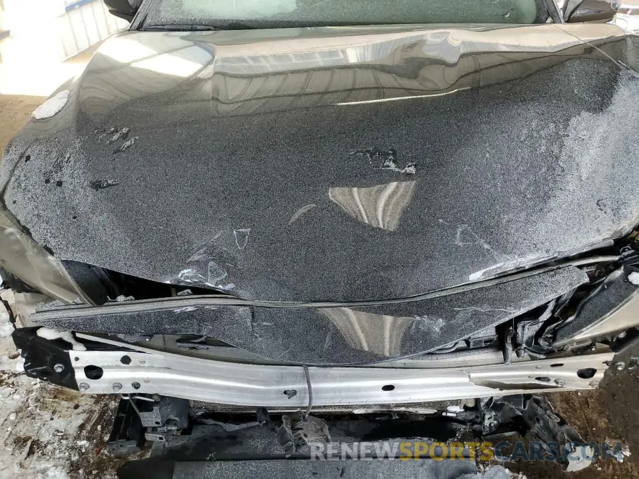 12 Photograph of a damaged car 4T1G11AK8LU315106 TOYOTA CAMRY 2020