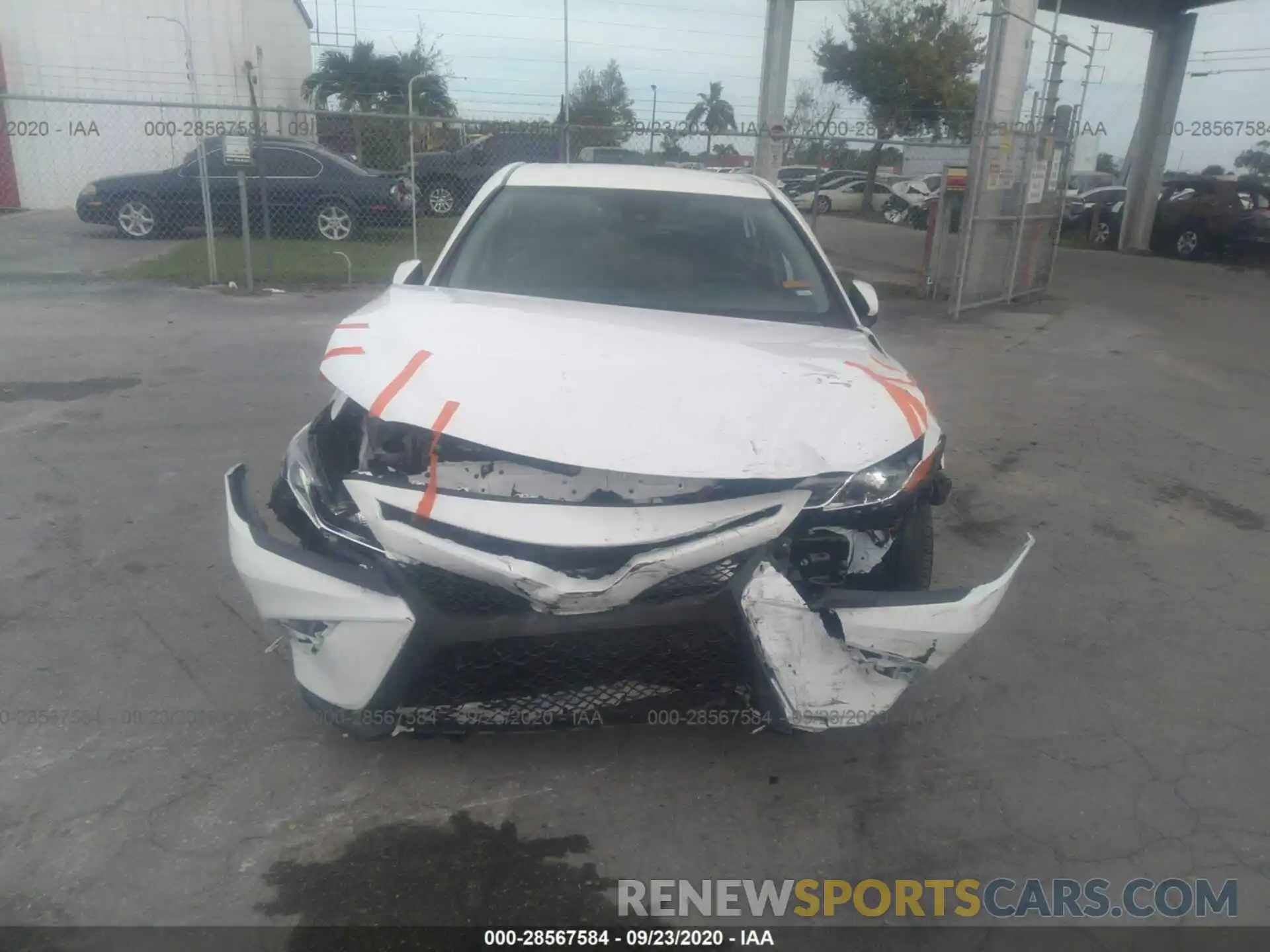 6 Photograph of a damaged car 4T1G11AK9LU343433 TOYOTA CAMRY 2020