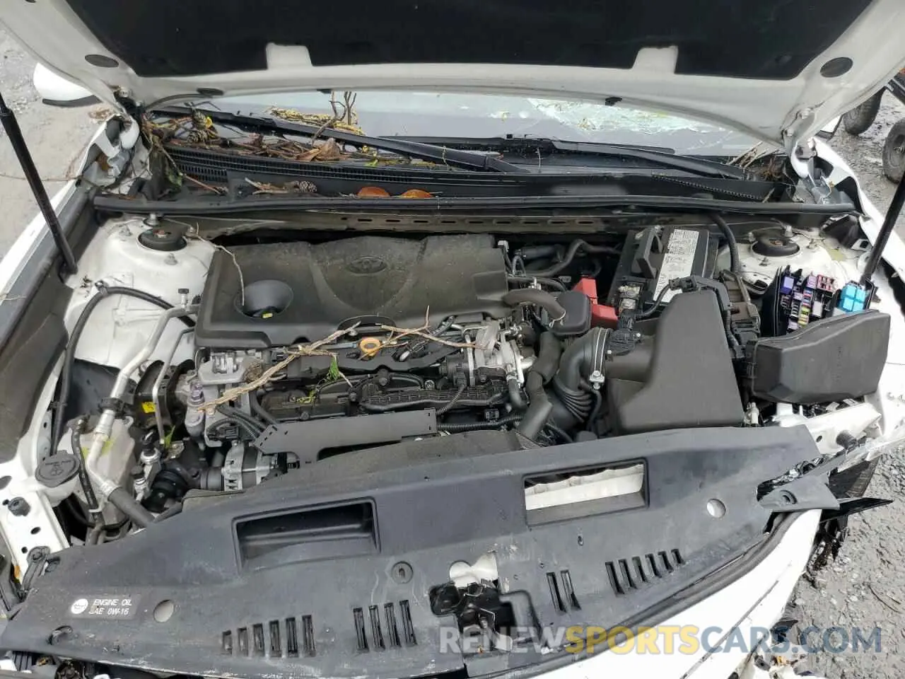 12 Photograph of a damaged car 4T1G11AK9LU345439 TOYOTA CAMRY 2020