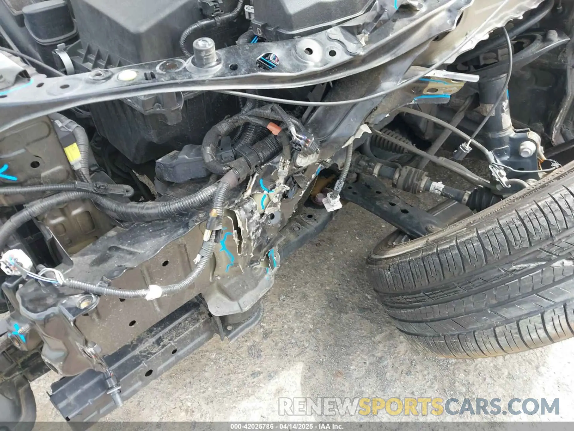 6 Photograph of a damaged car 4T1G11AK9LU888421 TOYOTA CAMRY 2020