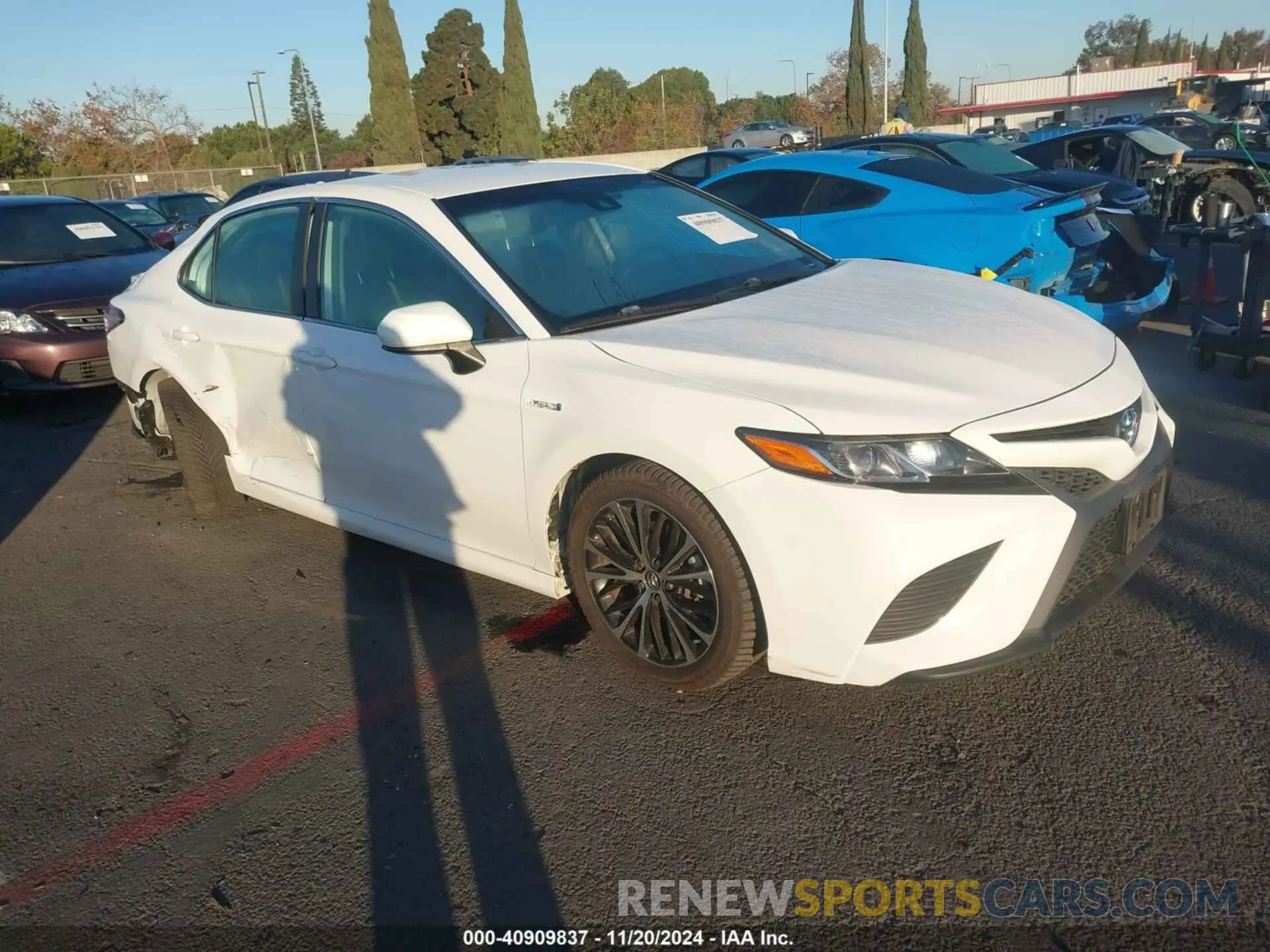 1 Photograph of a damaged car 4T1G31AKXLU519500 TOYOTA CAMRY 2020