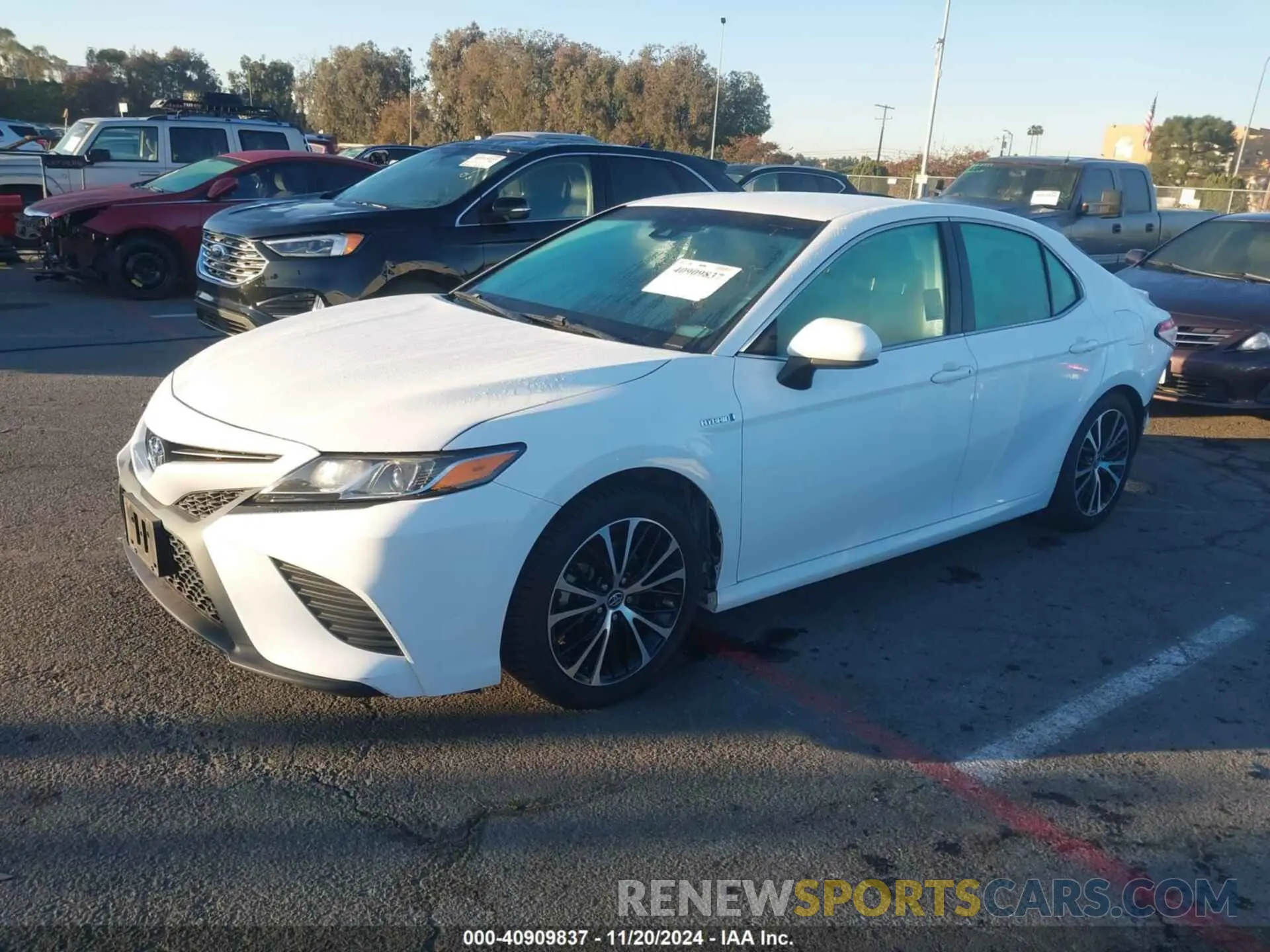 2 Photograph of a damaged car 4T1G31AKXLU519500 TOYOTA CAMRY 2020
