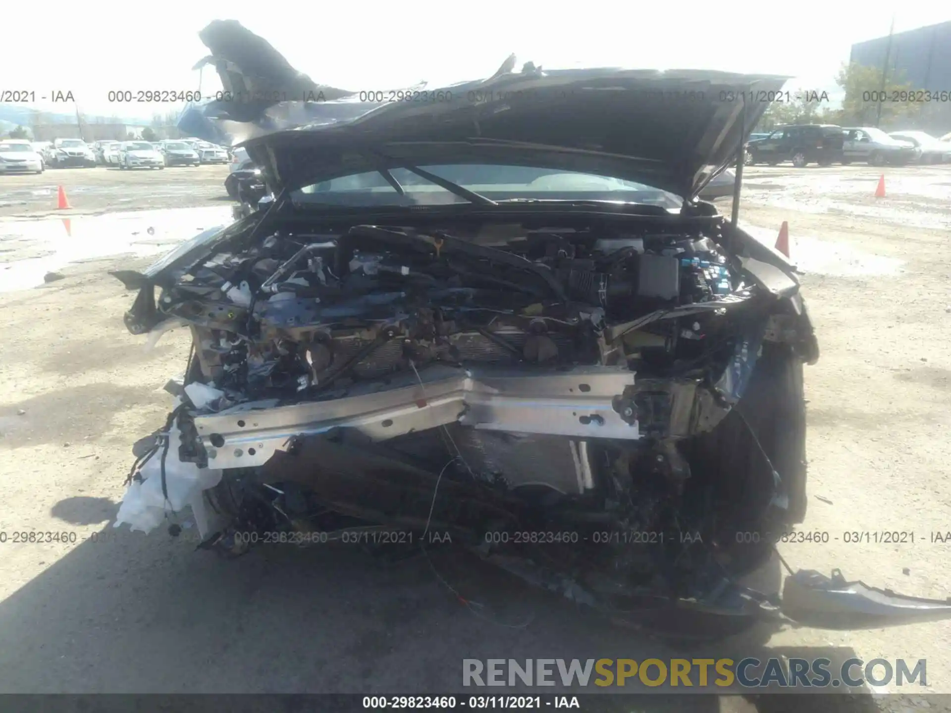 6 Photograph of a damaged car 4T1J31AK3LU524351 TOYOTA CAMRY 2020