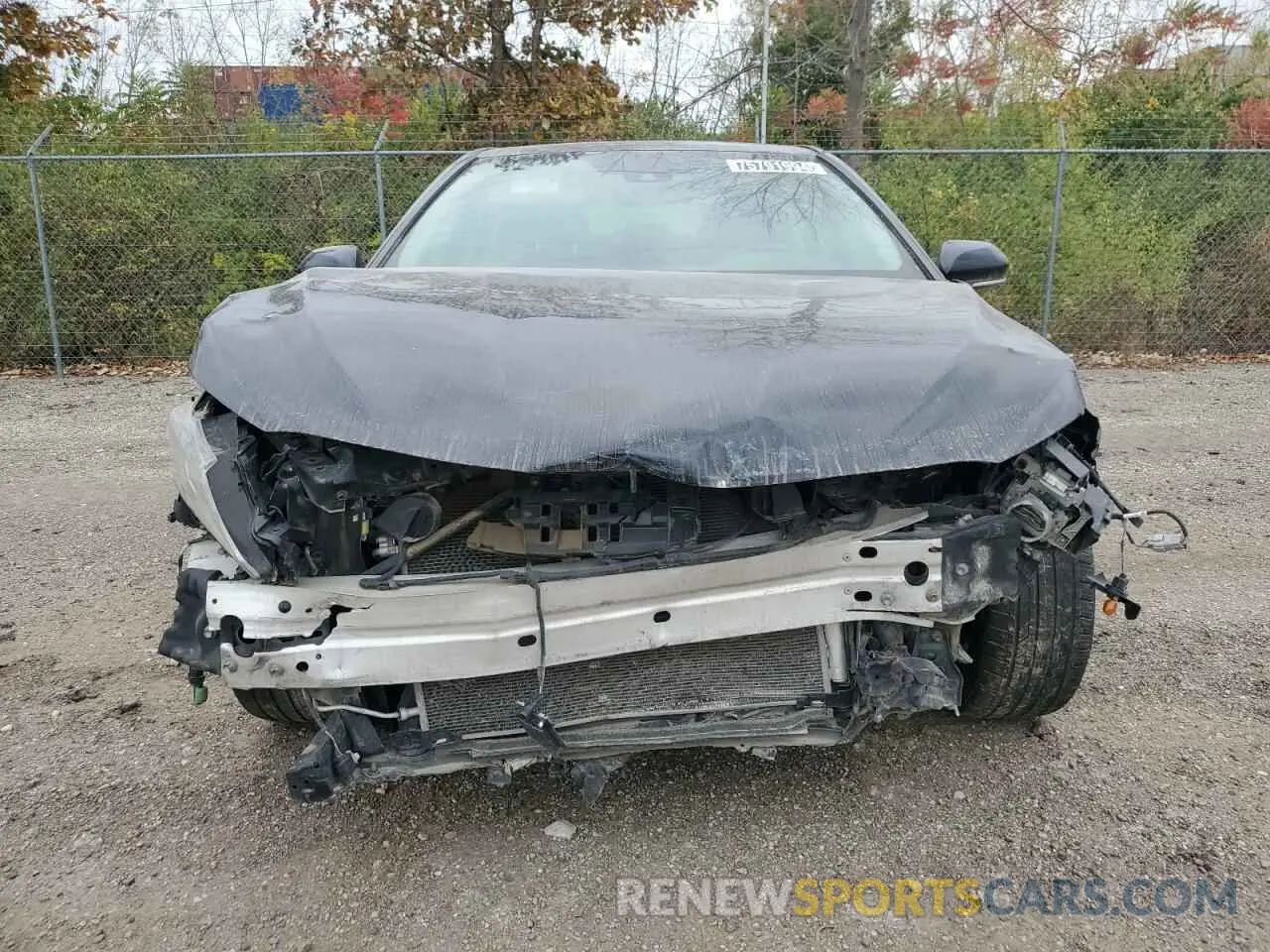 5 Photograph of a damaged car 4T1J31AK4LU524696 TOYOTA CAMRY 2020