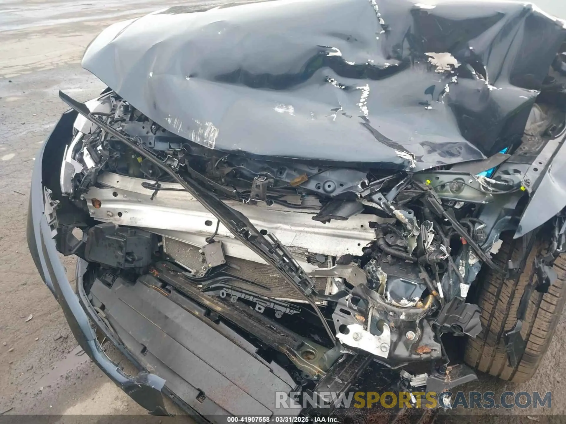 6 Photograph of a damaged car 4T1L11AK3LU977805 TOYOTA CAMRY 2020