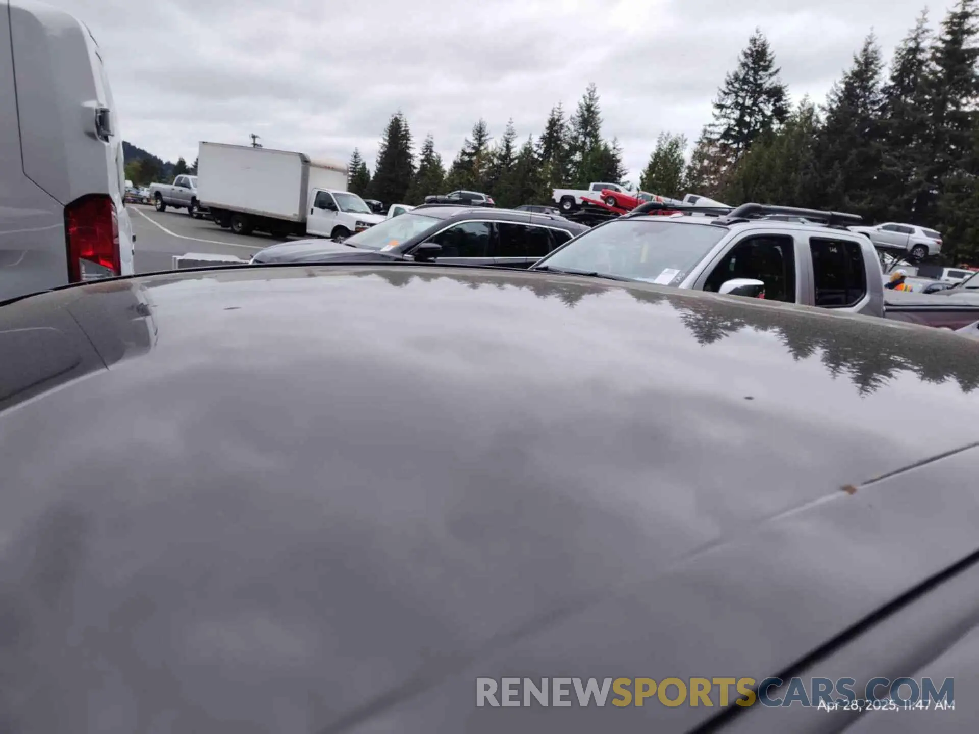23 Photograph of a damaged car 4T1L31AK9LU536464 TOYOTA CAMRY 2020